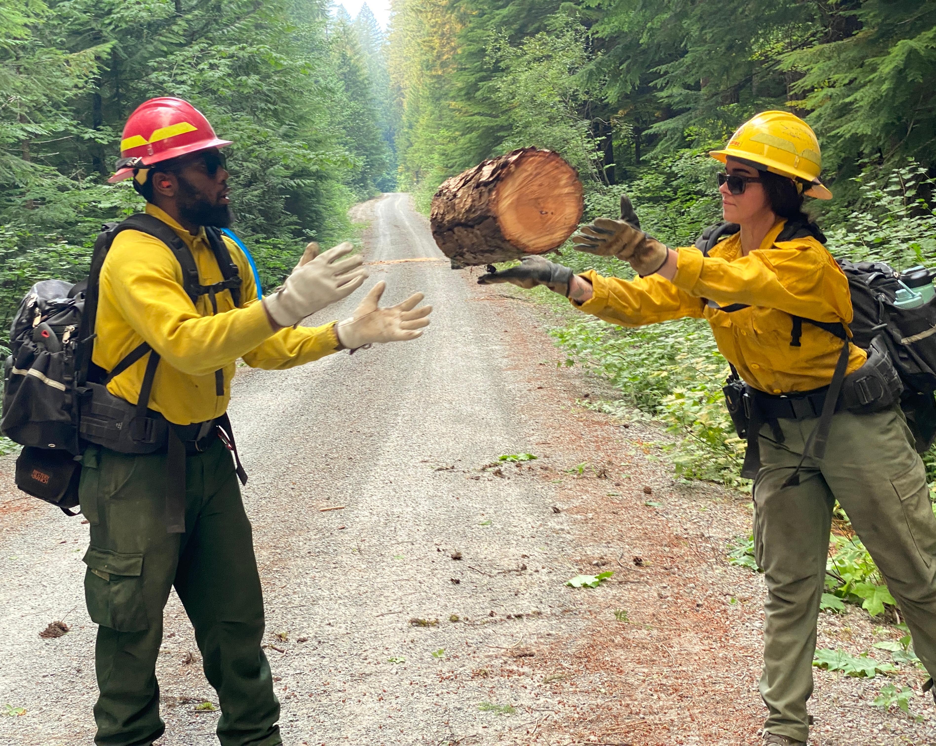 Two firefighters from an interagency crew from the Columbia River Gorge (BLM, USFS -GP -HOOD, and WA DNR) help chain out cut rounds as they clear Forest Road 2421 along Black Creek. The road is located south of fire and will potentially serve as a control