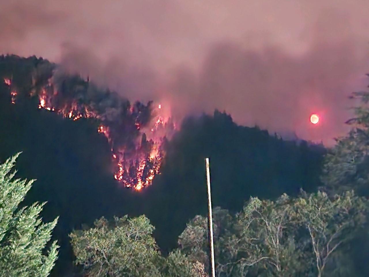 Flames on the hillside at night