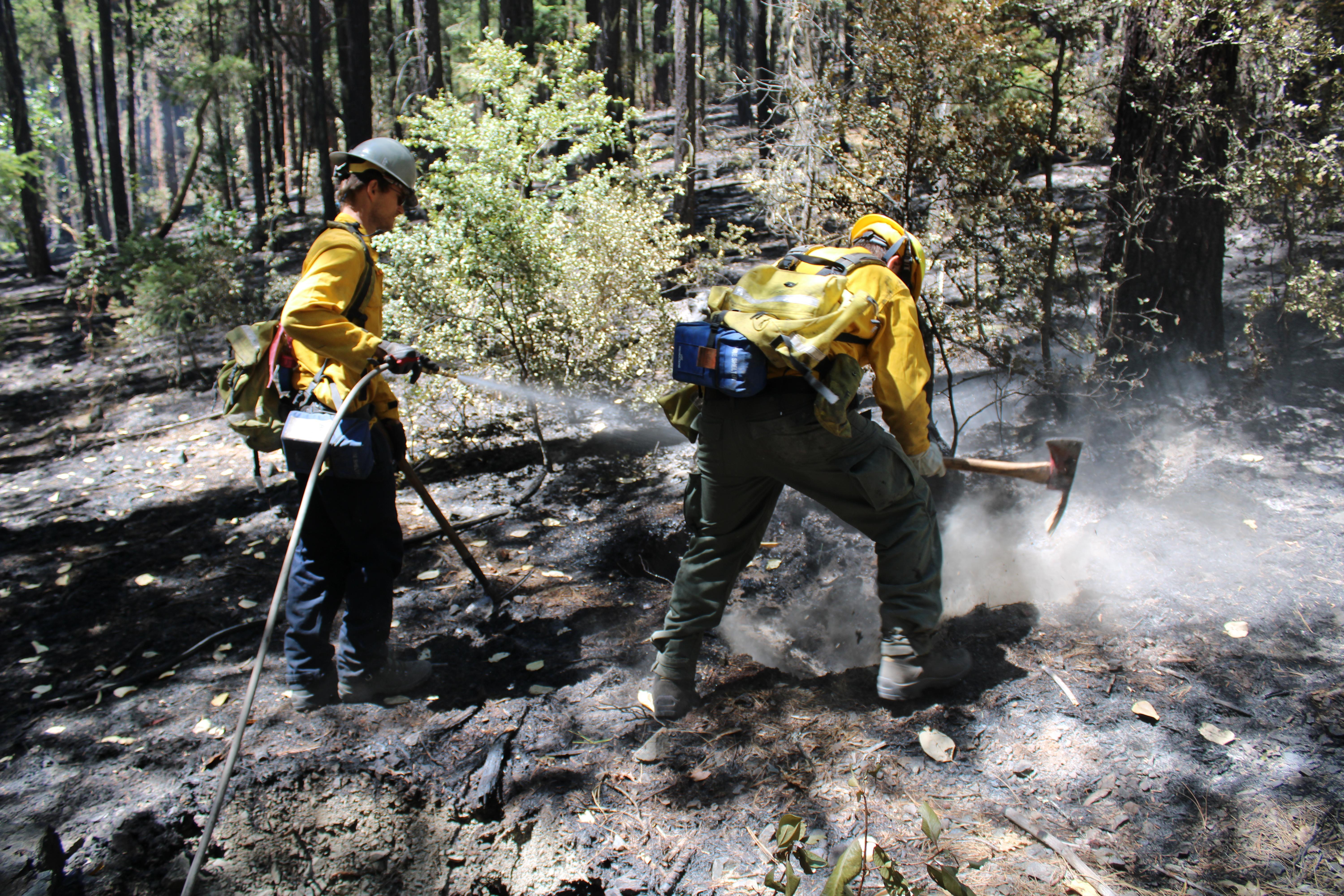 Alpine Wildfire Services conducting mop up along Mill Creek Road