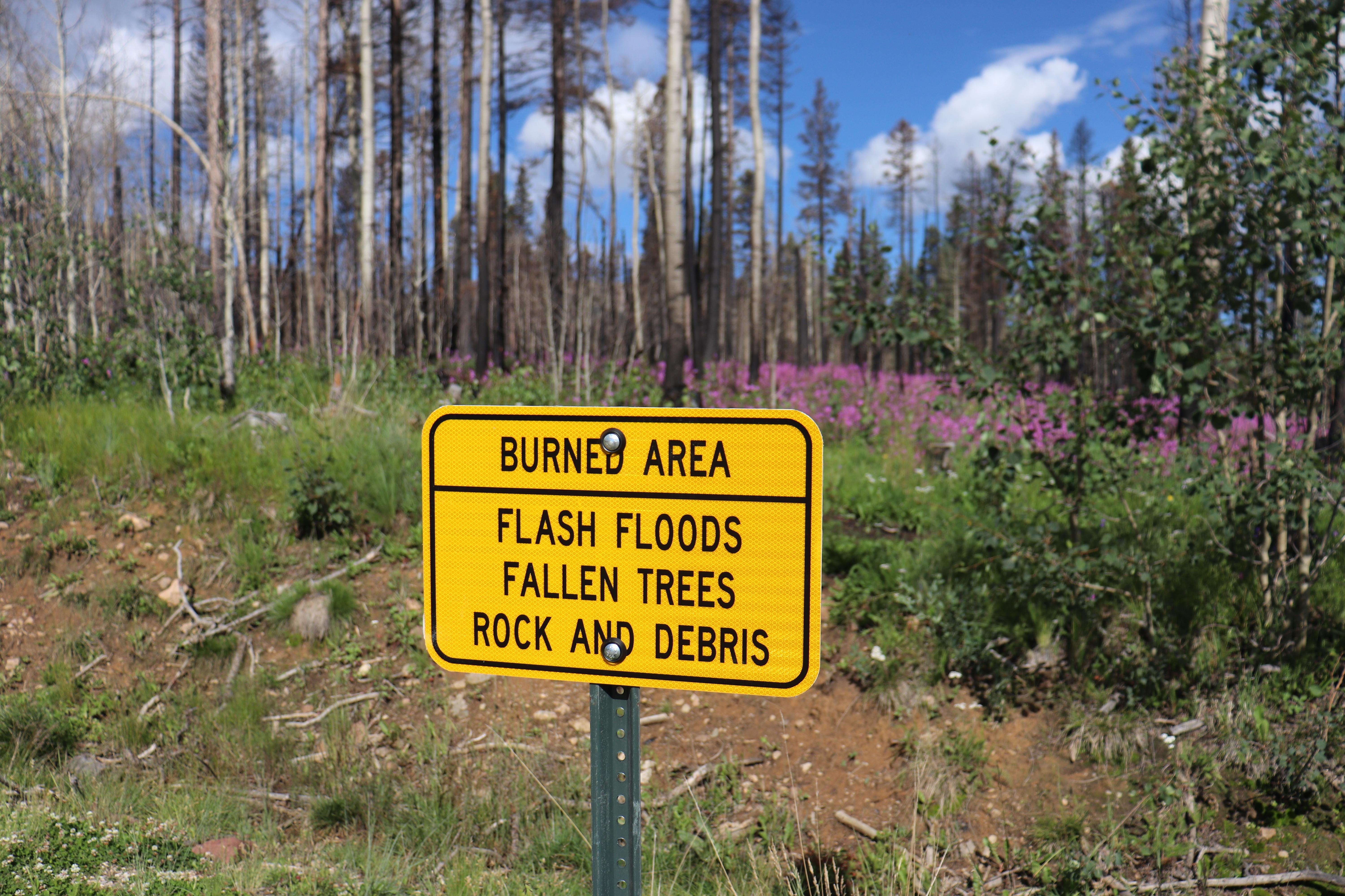 A sign marks the dangers of burned areas - flash floods, fallen trees, and rocks and debris.