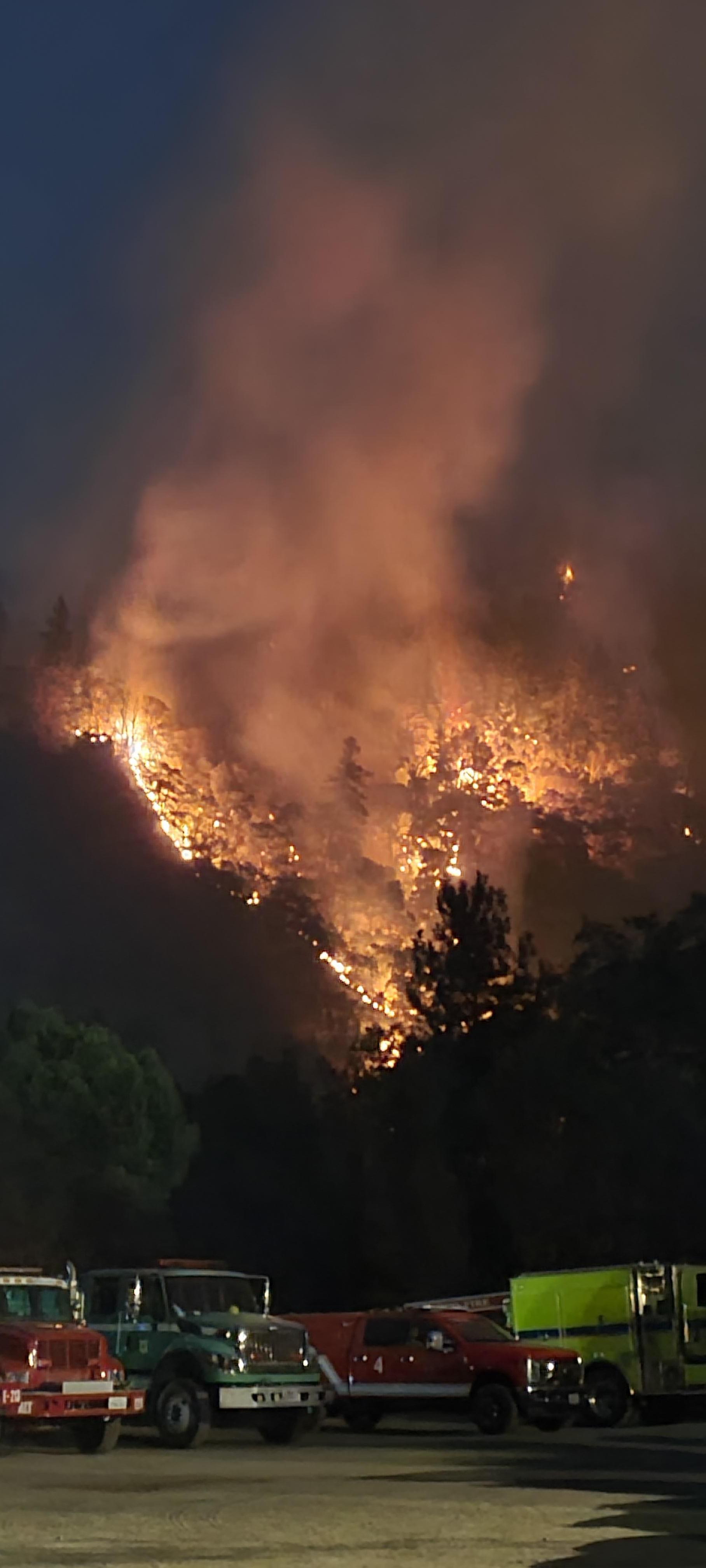 Photo depicts a steep forested hillside at night, flames and smoke can be seen rising off the dark trees