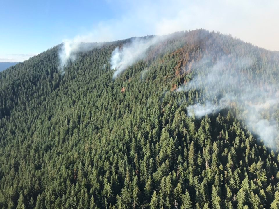 Smoke drifts up through trees in several spots in a photo taken from the air.