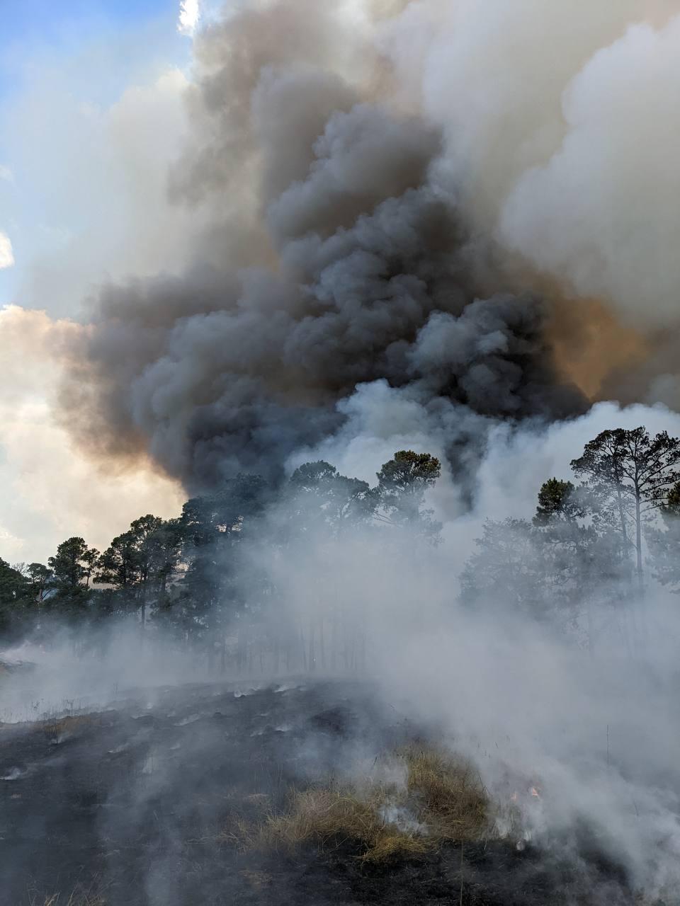 Black, gray and white smoke rise from trees mostly blocked by white smoke.  Ground is burned black with a small portion of  unburned grass.