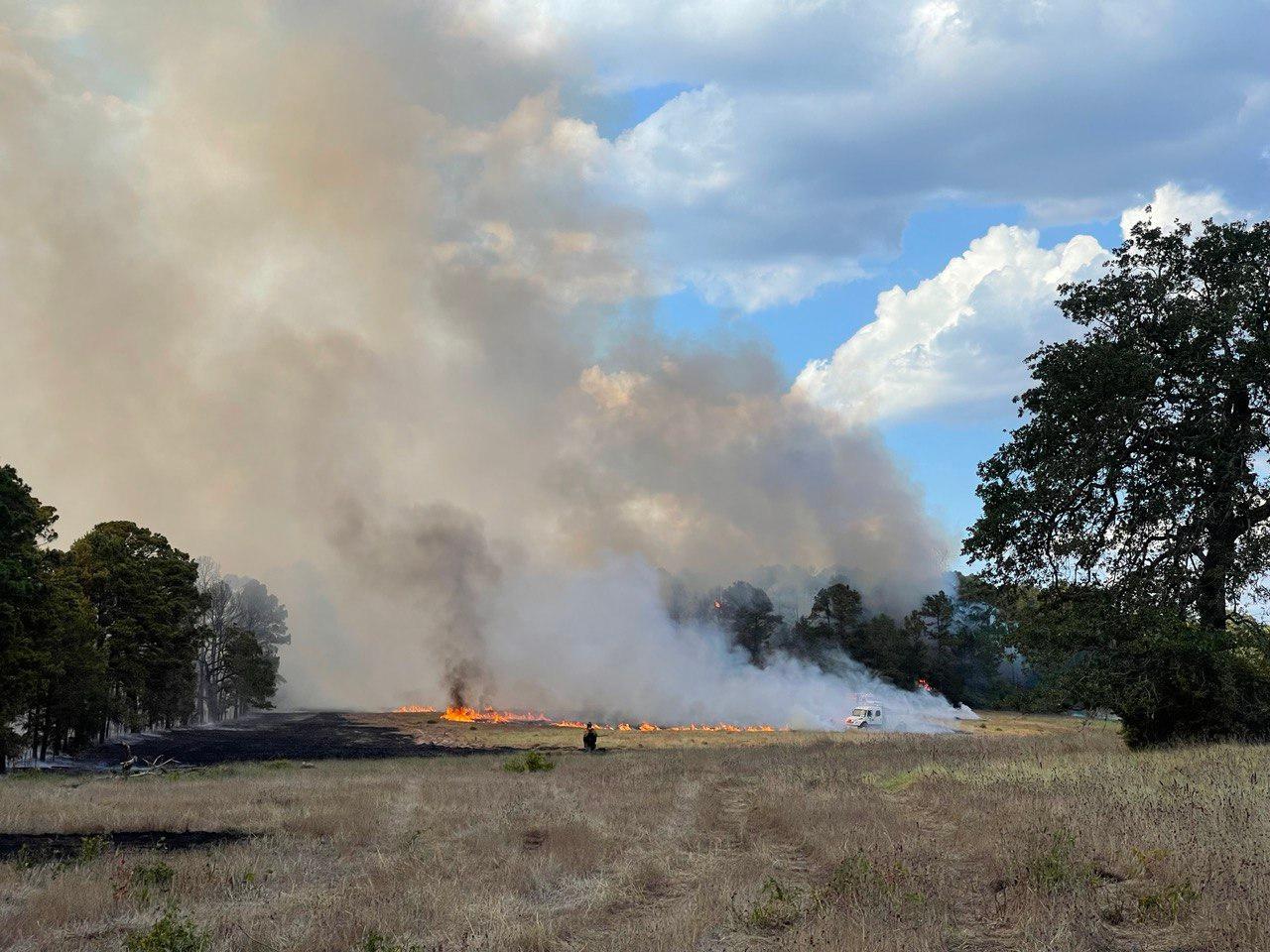 White and grey smoke rises from the ground and up through the trees against a cloudy, blue sky.  Dry grass covers the foreground. Single firefighter stand at fire's edge as flames rise up from the ground. 2 Engines are parked at the edge of the smoke.
