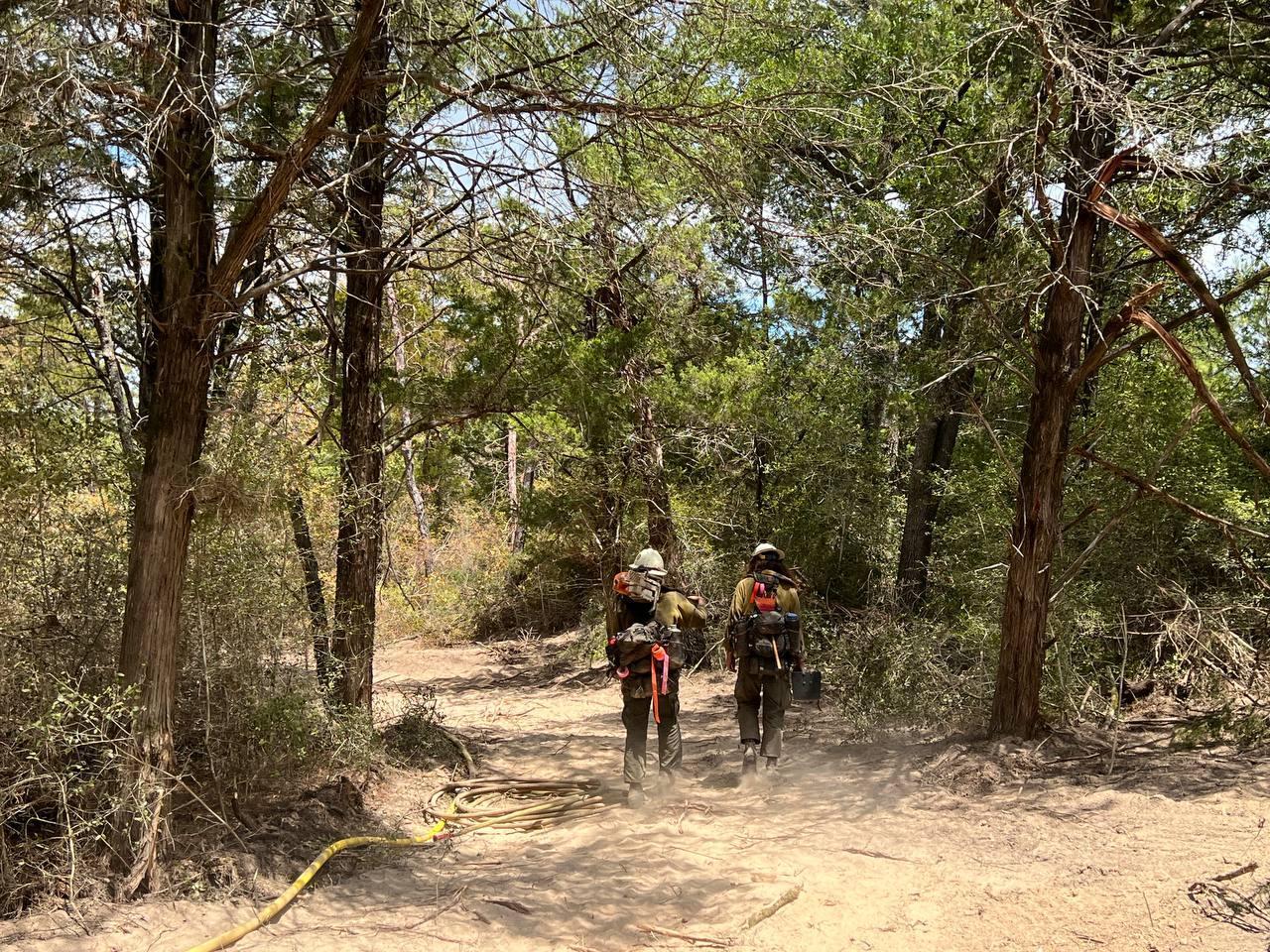 Two firefighters walk along dozer line surrounded by trees on both sides. One firefighter is carrying a chainsaw on their shoulder.