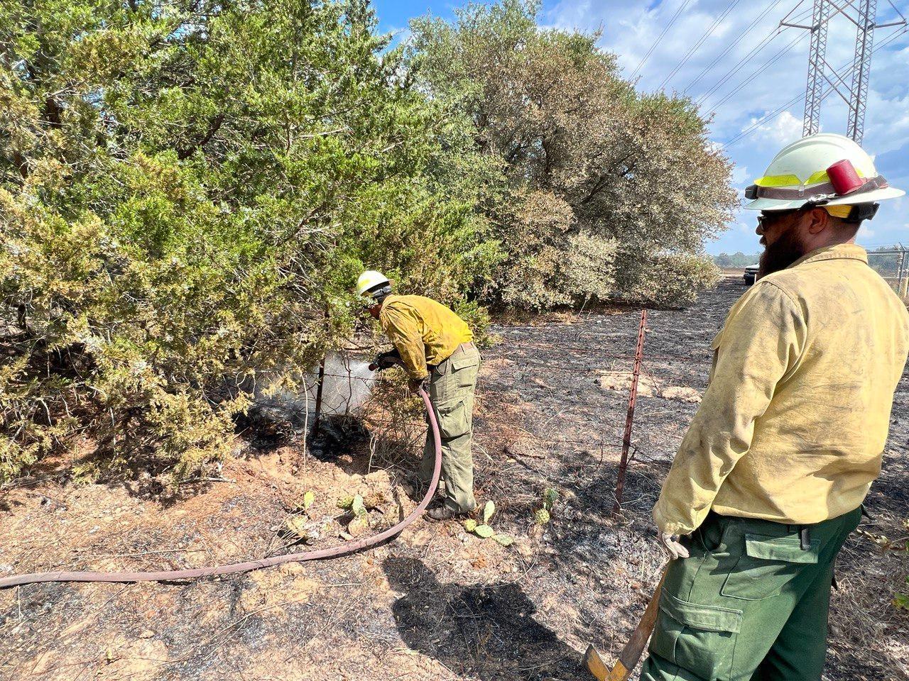 2 male firefighters in yellow shirts and green pants work to extinguish heat under a tree. One firefighter uses a hose to spray water while another stands nearby with a tool, ready to dig and stir dirt to get the water mixed in.