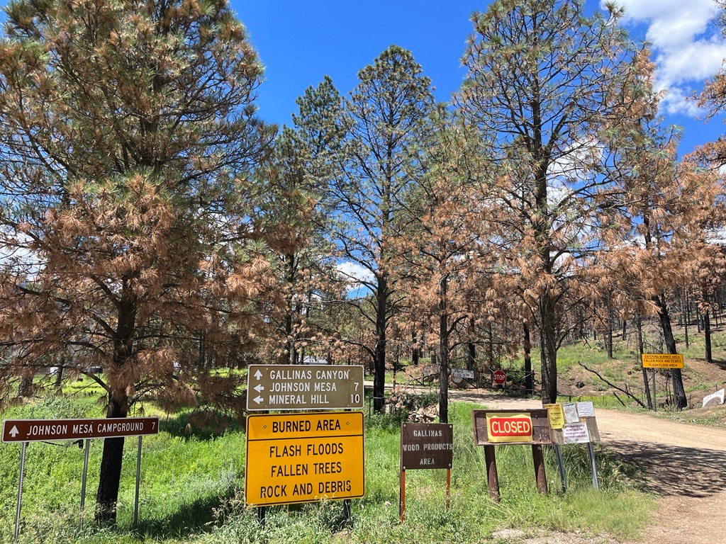 Image of burned trees and the road signs at the junction of Mineral Hill (FSR 18) and Johnson Mesa (FSR 156)