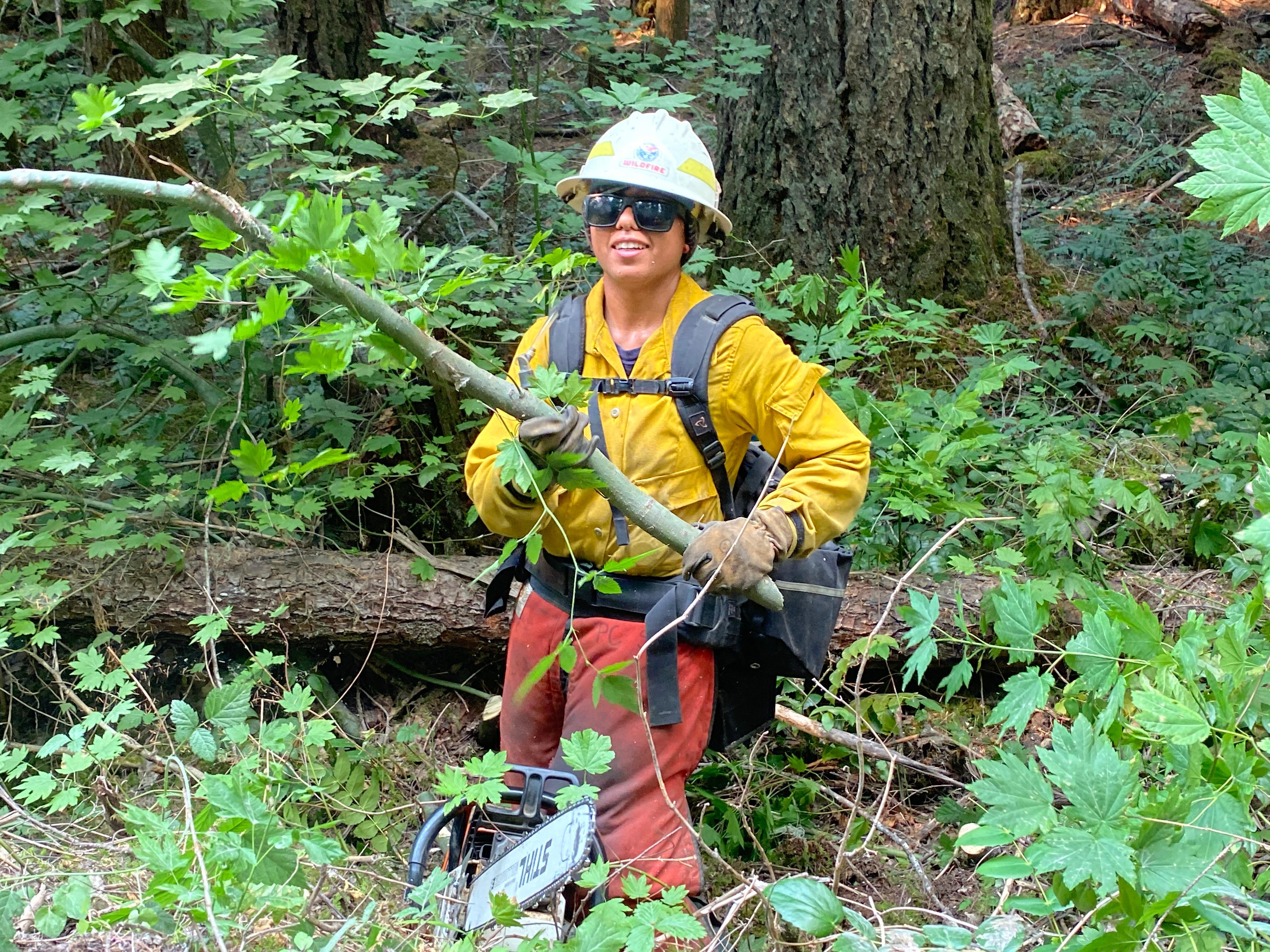 A female firefighter is shown moving brush that has been cut along a fire line. A chain saw is at her feet.