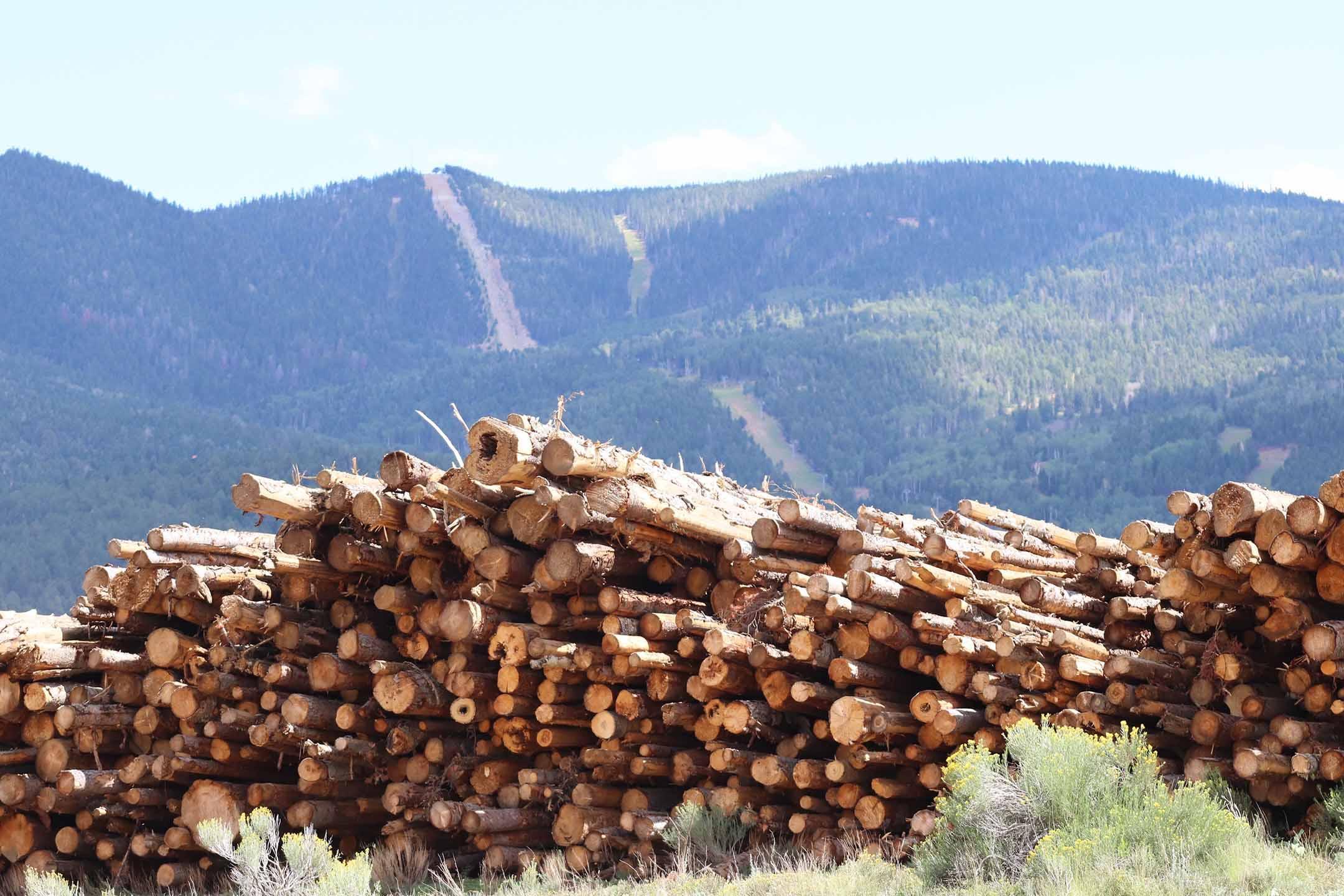 Neatly stack decks of logs extend across the foreground. In the background a bulldozer line scrapes  up a slope of thick pine.