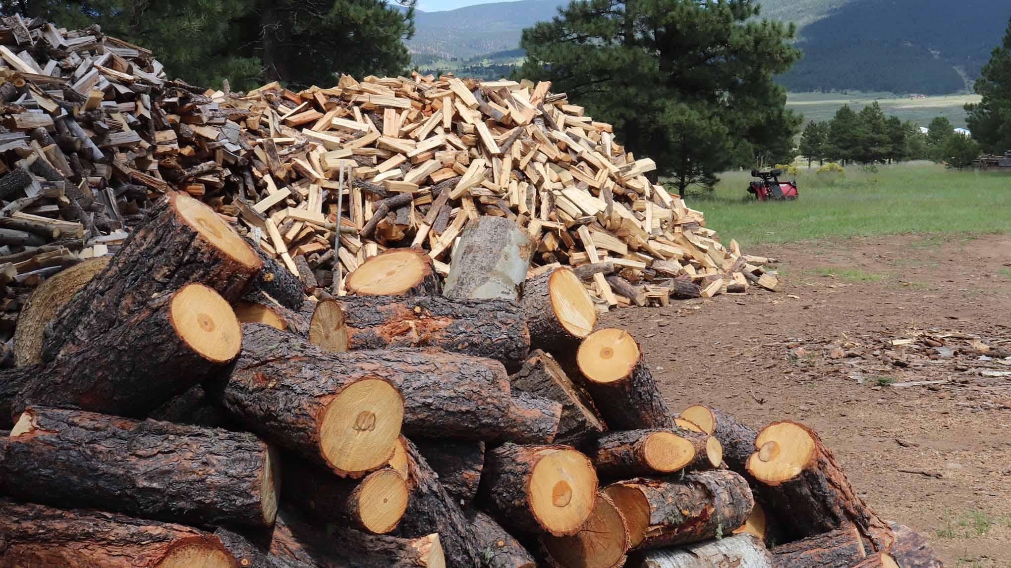 A tall mound of split green wood looms behind a smaller pile of unsplit rounds.