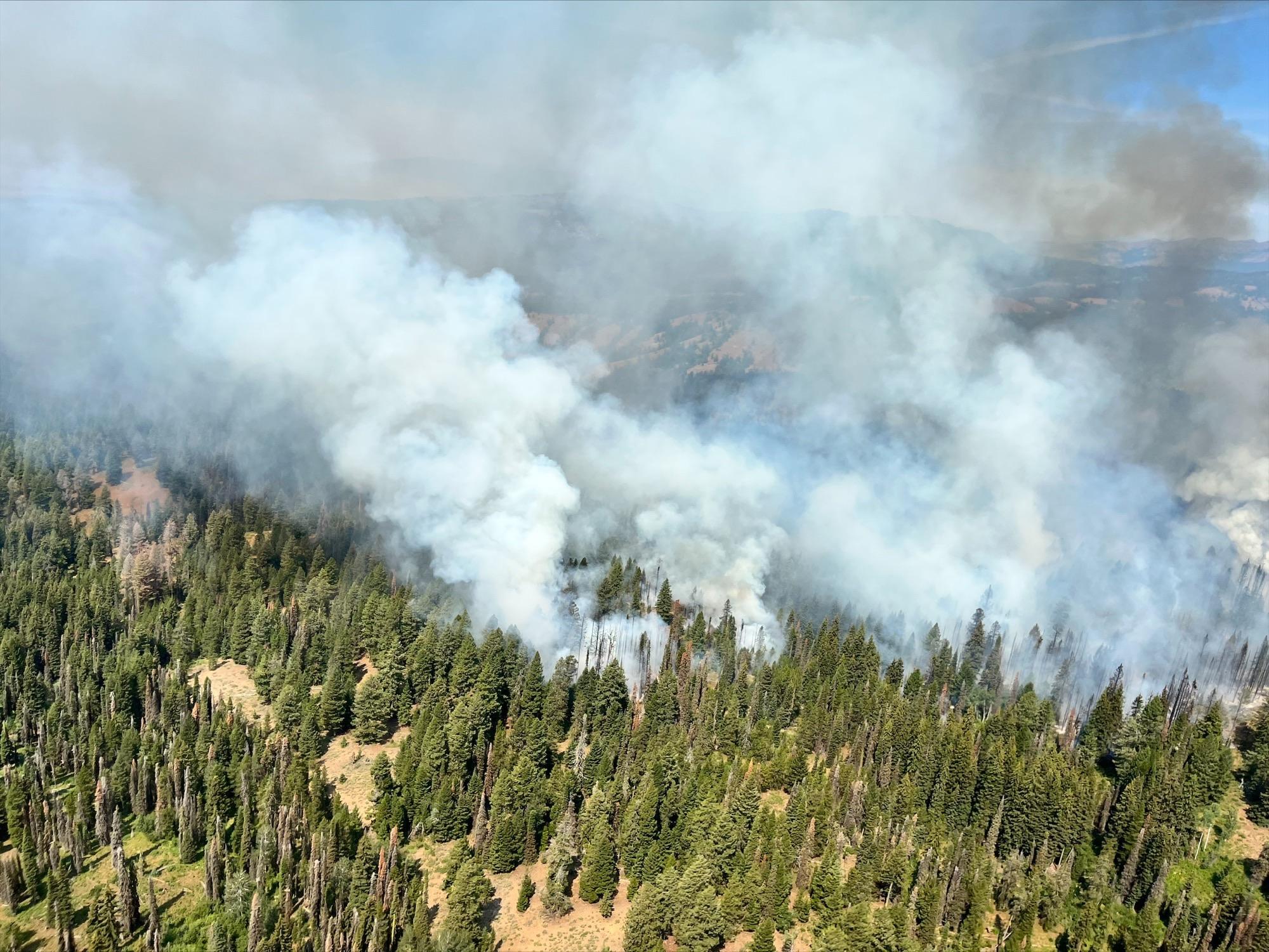 Photo, West side of  Four Corners Fire, August 15