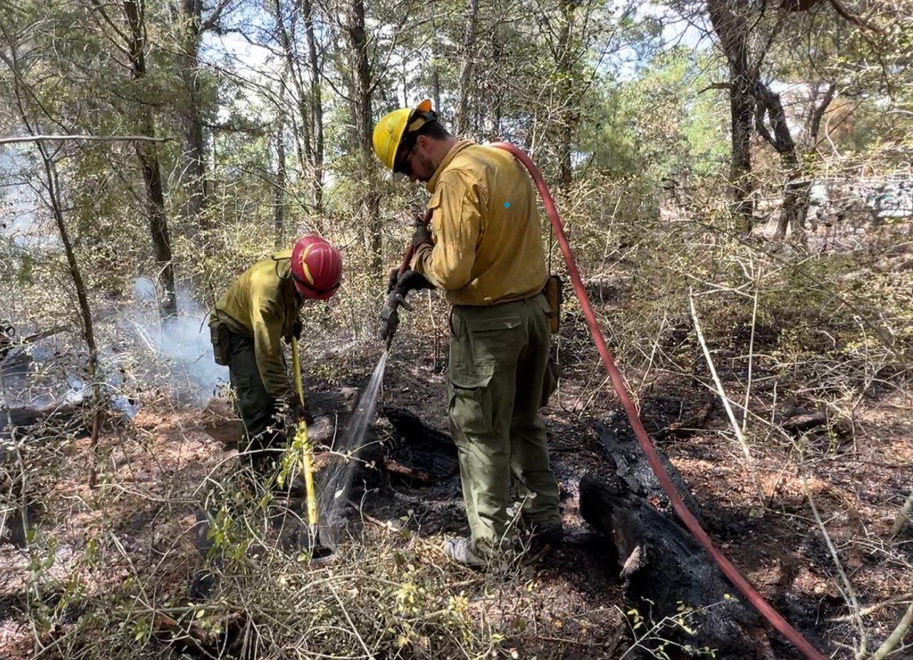 1 firefighter holds a red hose and sprays water on the ground to cool a hot spot. A second firefighter uses a tool to scrap the ground and dig down to allow water to penetrate the top layer of ground. Surrounding is trees, burned ground and dry vegetation