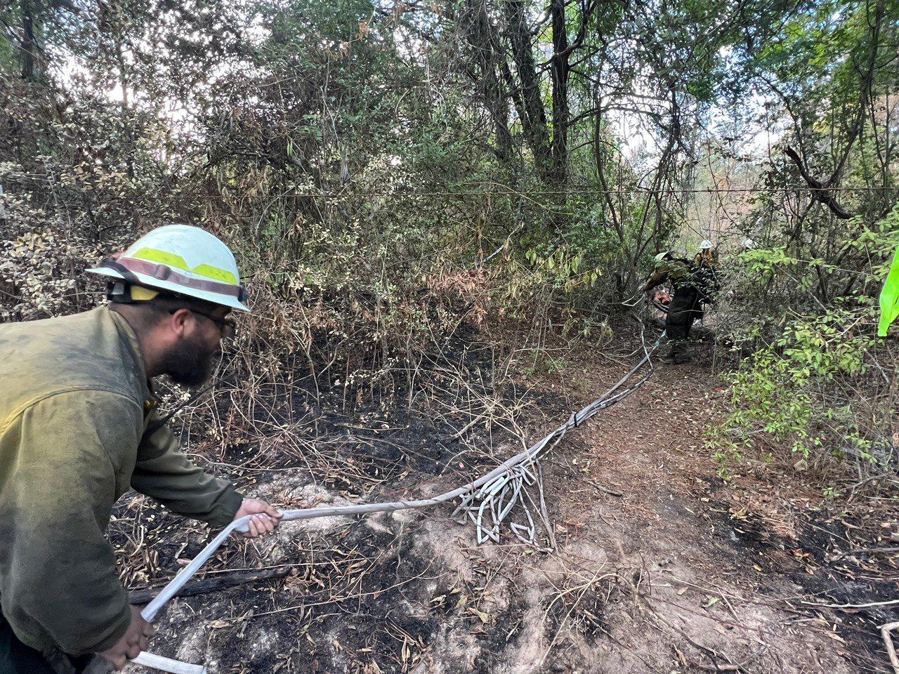 Multiple firefighters pull hose across bare ground to remove it from the forested area and return to the engine for another use.