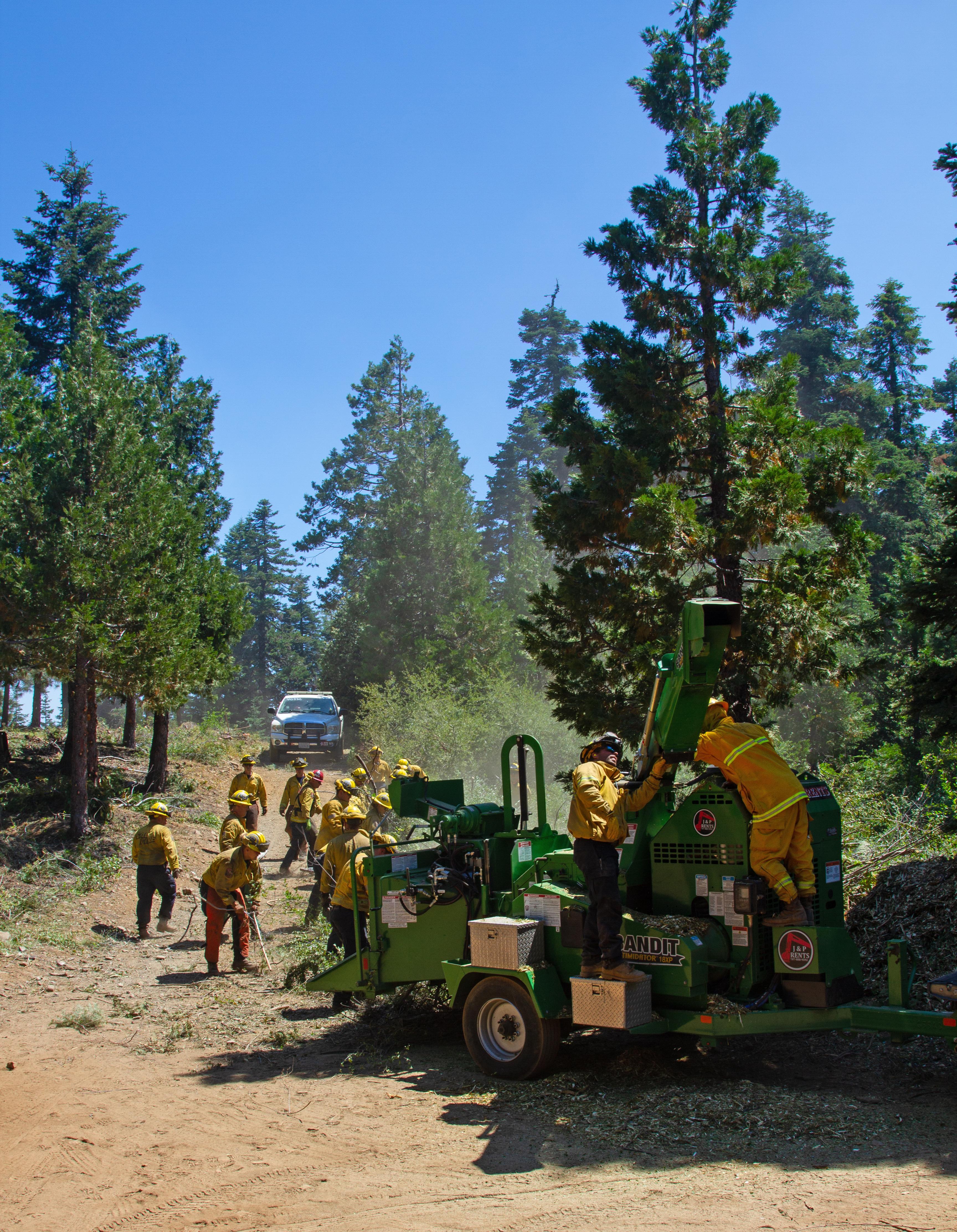 A hand crew loads brush into a woodchipper on the Lightening Complex
