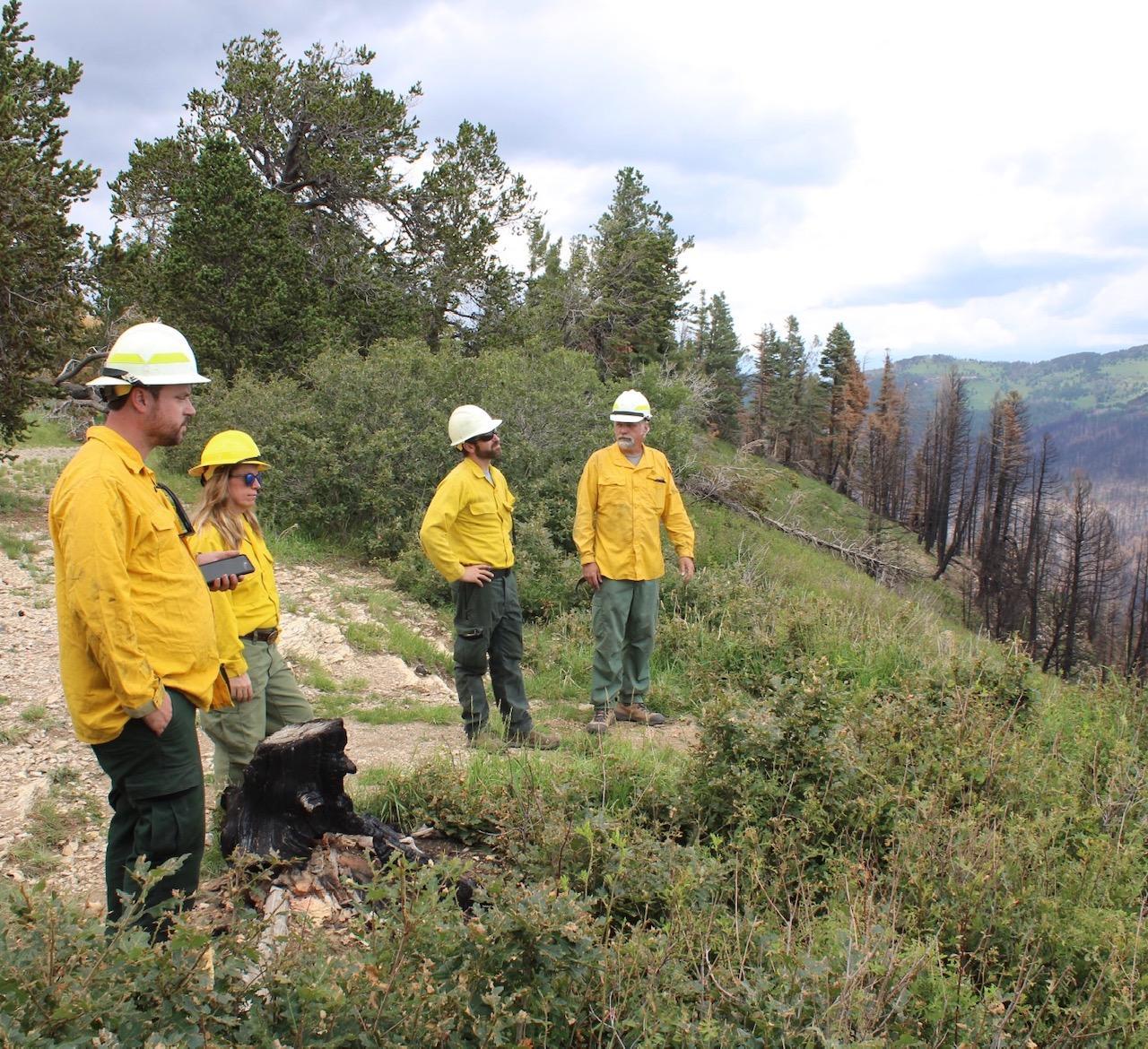 Four people in yellow shirts and helmets looking out over mountains.