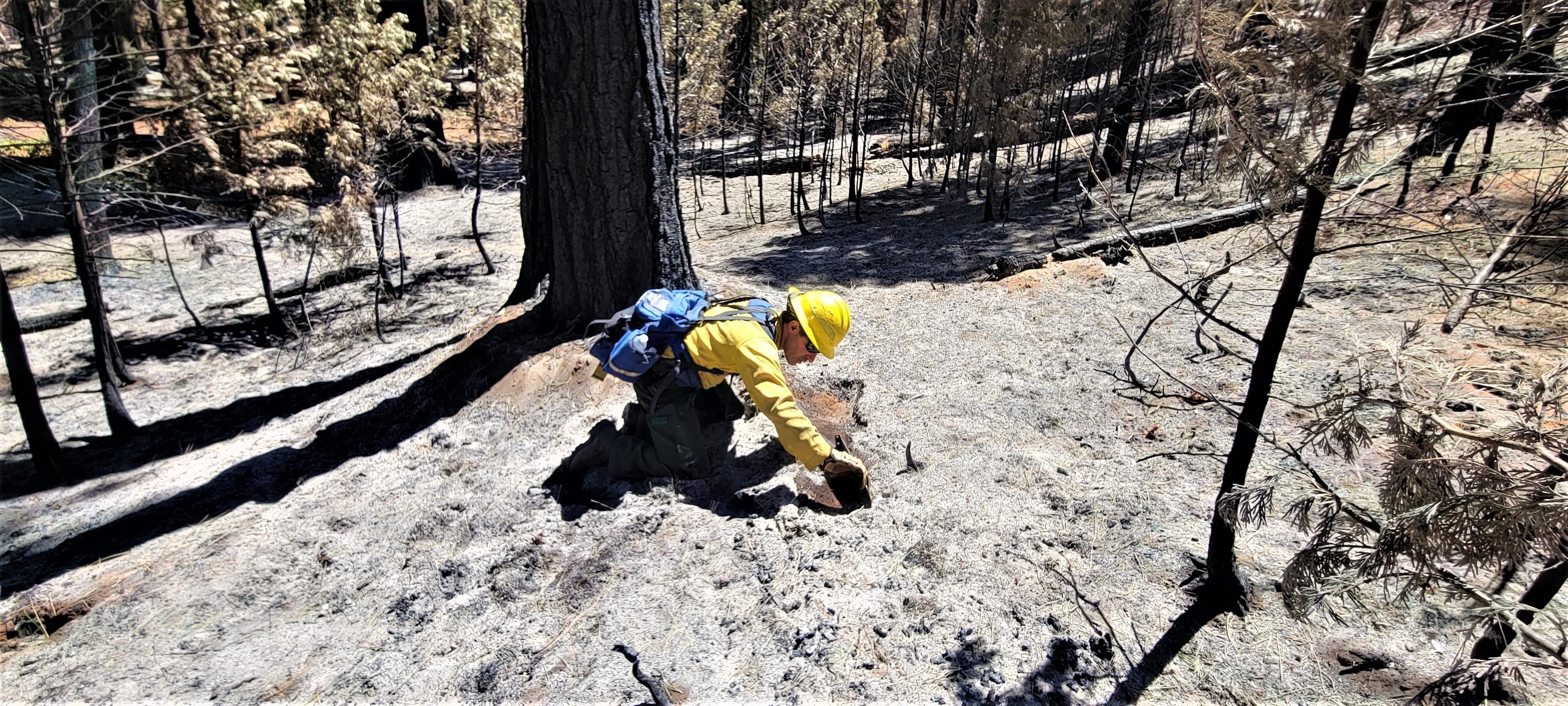 Image showing BAER Soil Scientist Curtis Kvamme Assessing Soil Water Repellency in Oak Burned Area