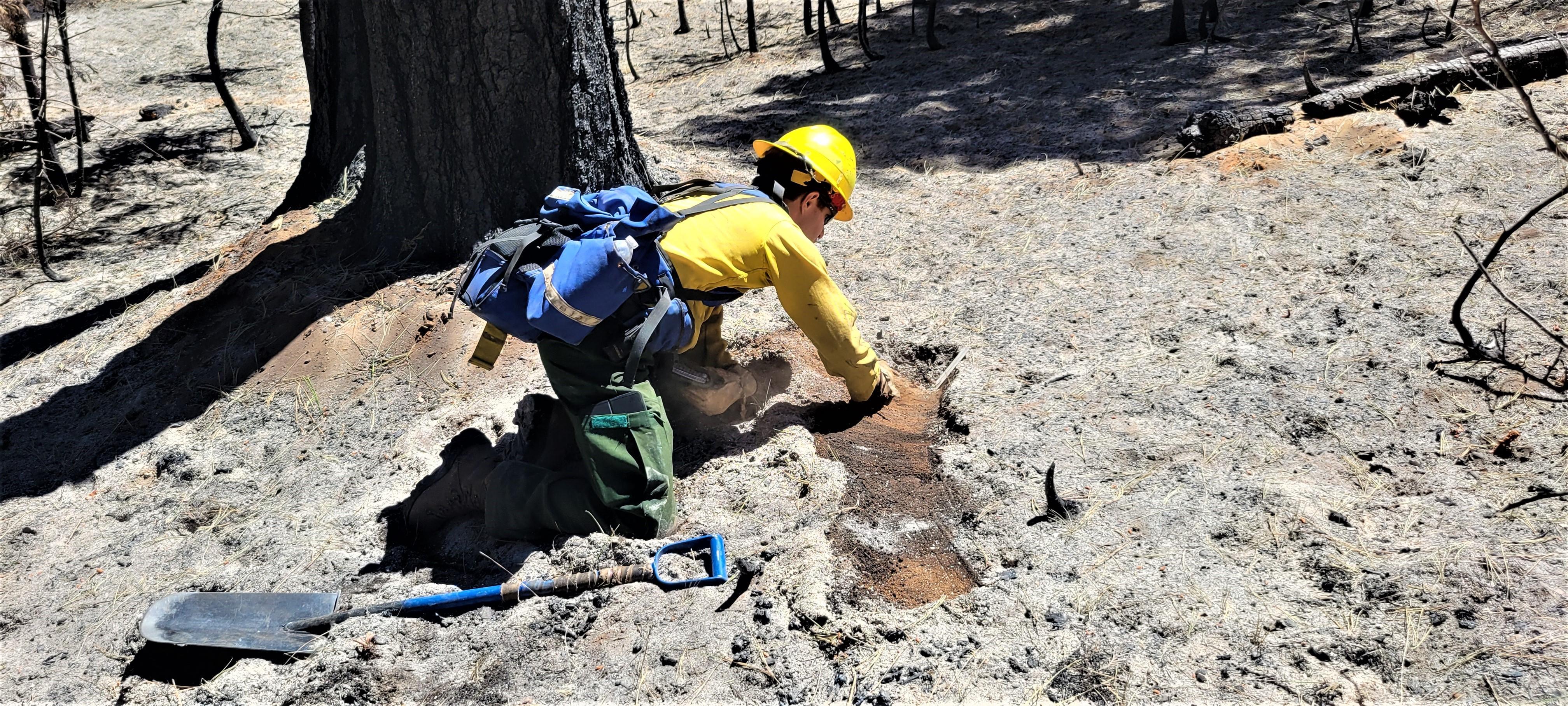 Image showing BAER Soil Scientist Curtis Kvamme Assessing Soil Water Repellency in Oak Burned Area