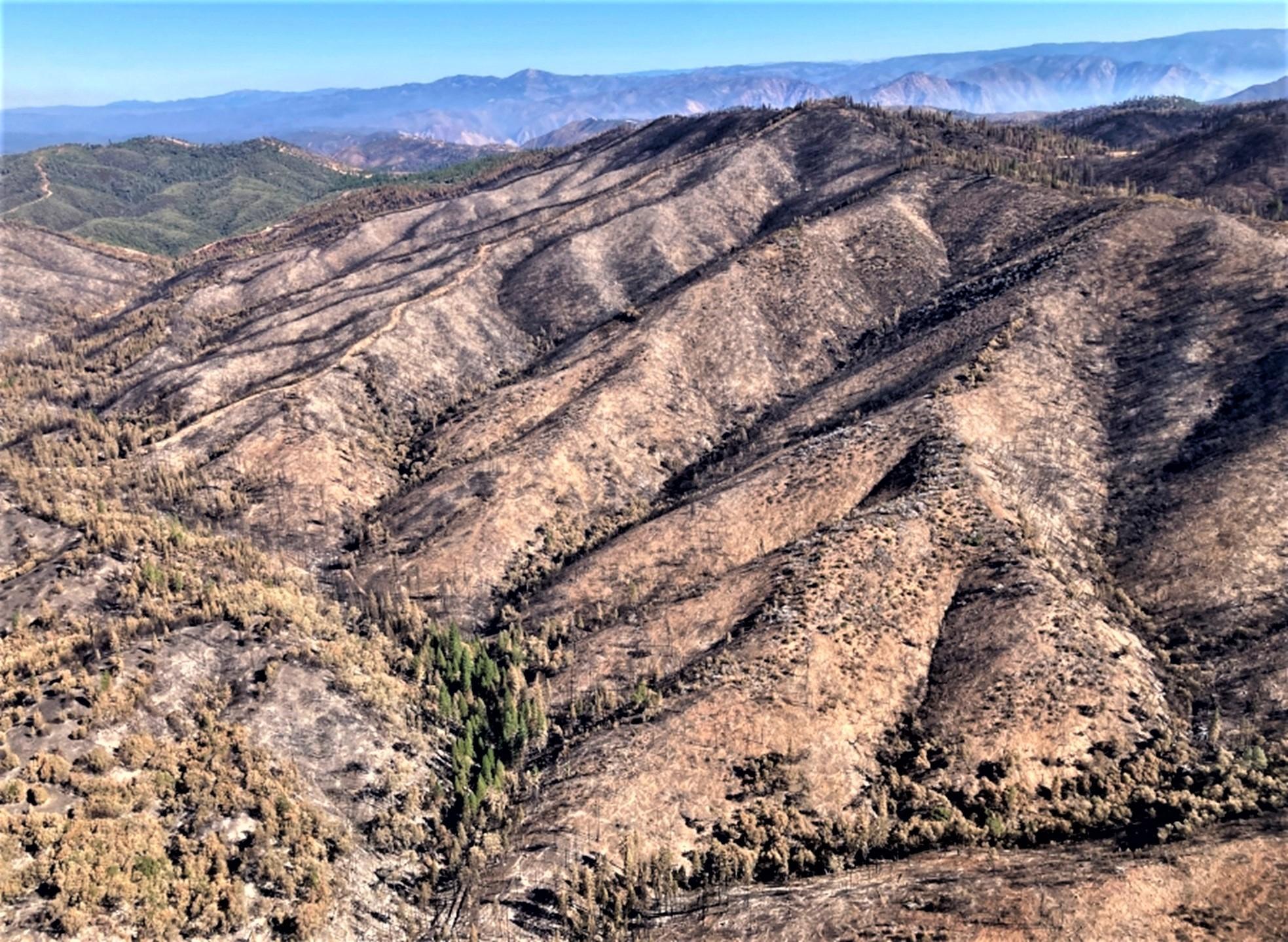 Image showing an aerial view of a portion of the Oak burned area