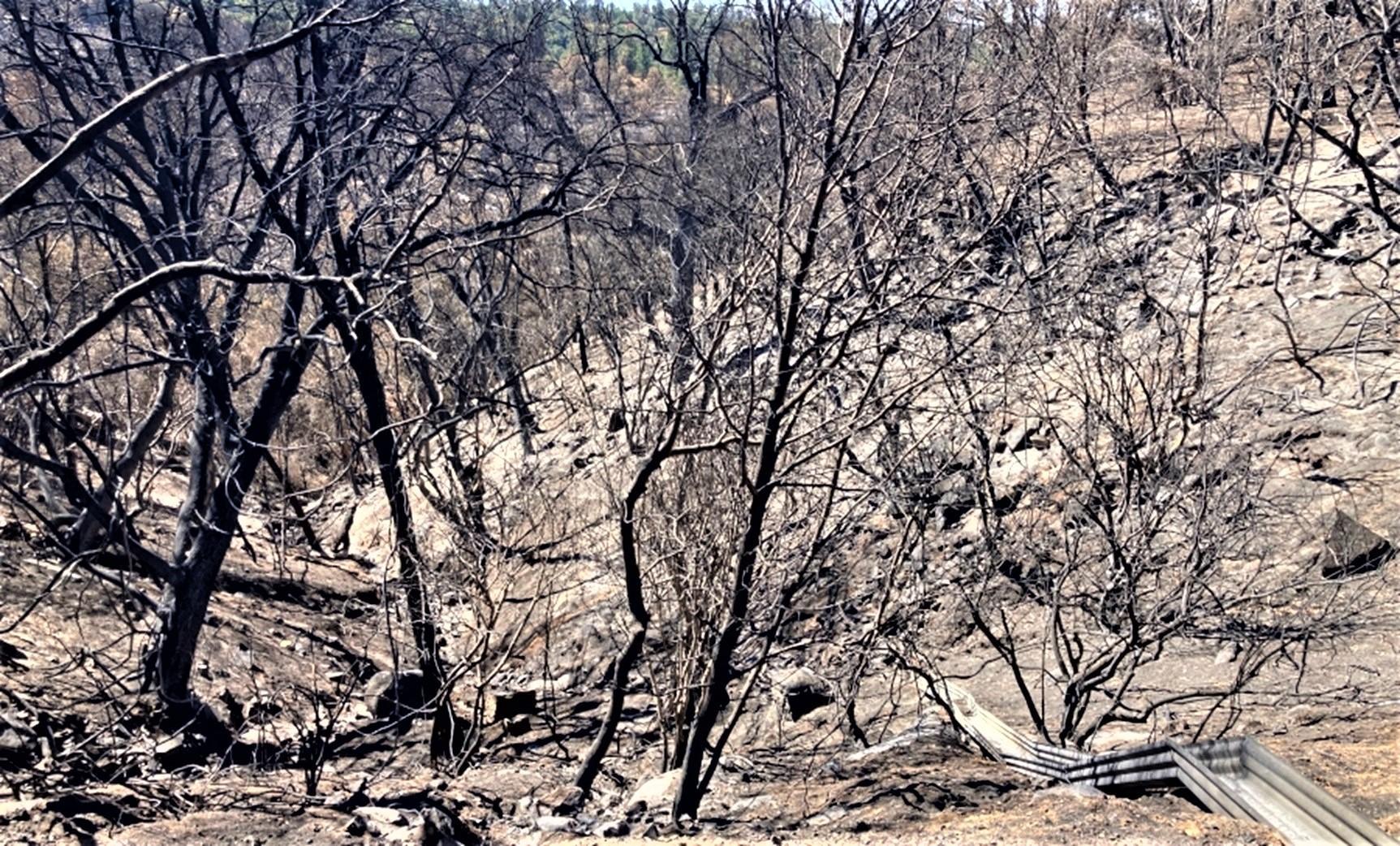 Image showing Lower end of Snow Creek with rocky material in Oak Burned Area