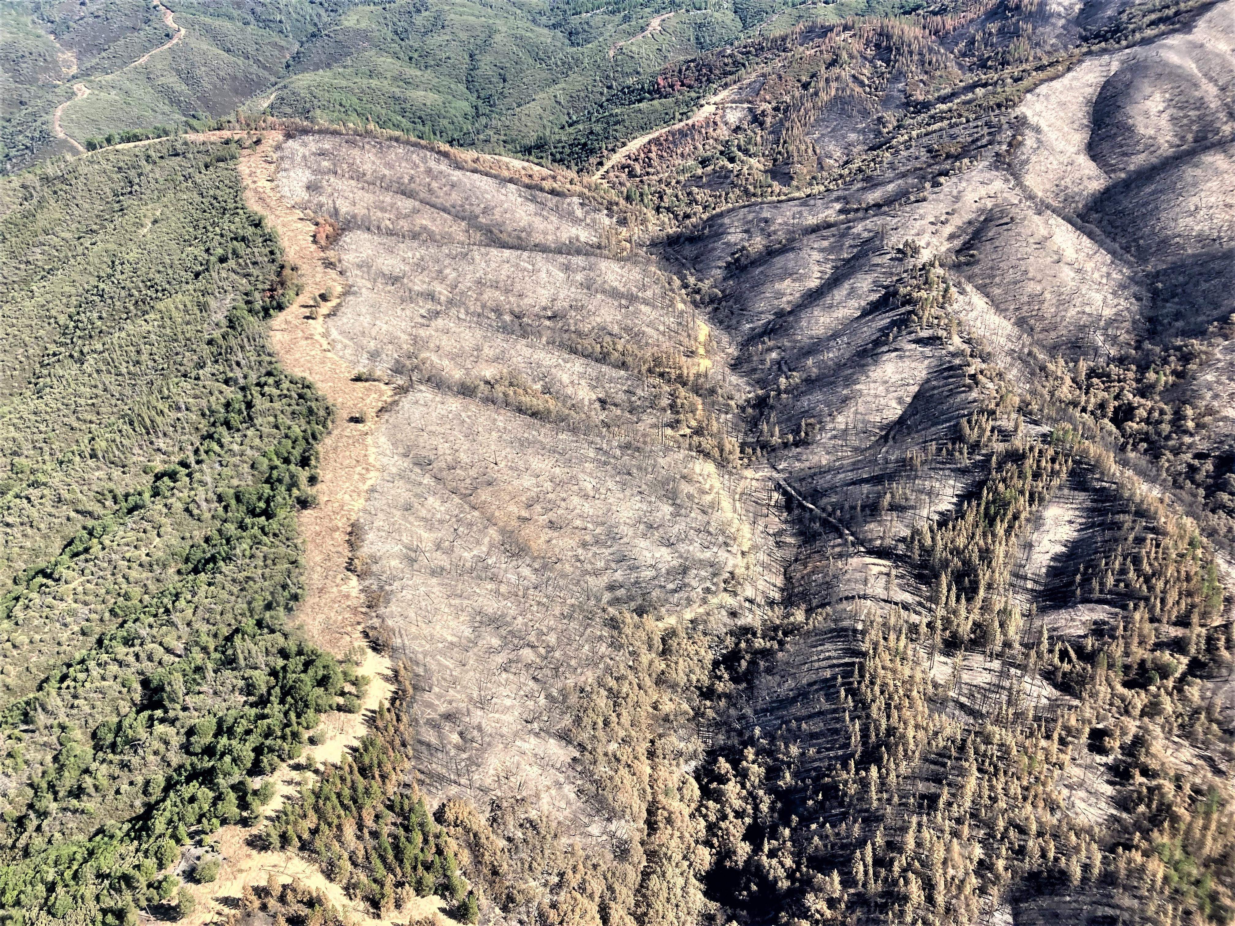 Image showing Aerial view above FS roads 5S24 & 4S33 in Oak burned area
