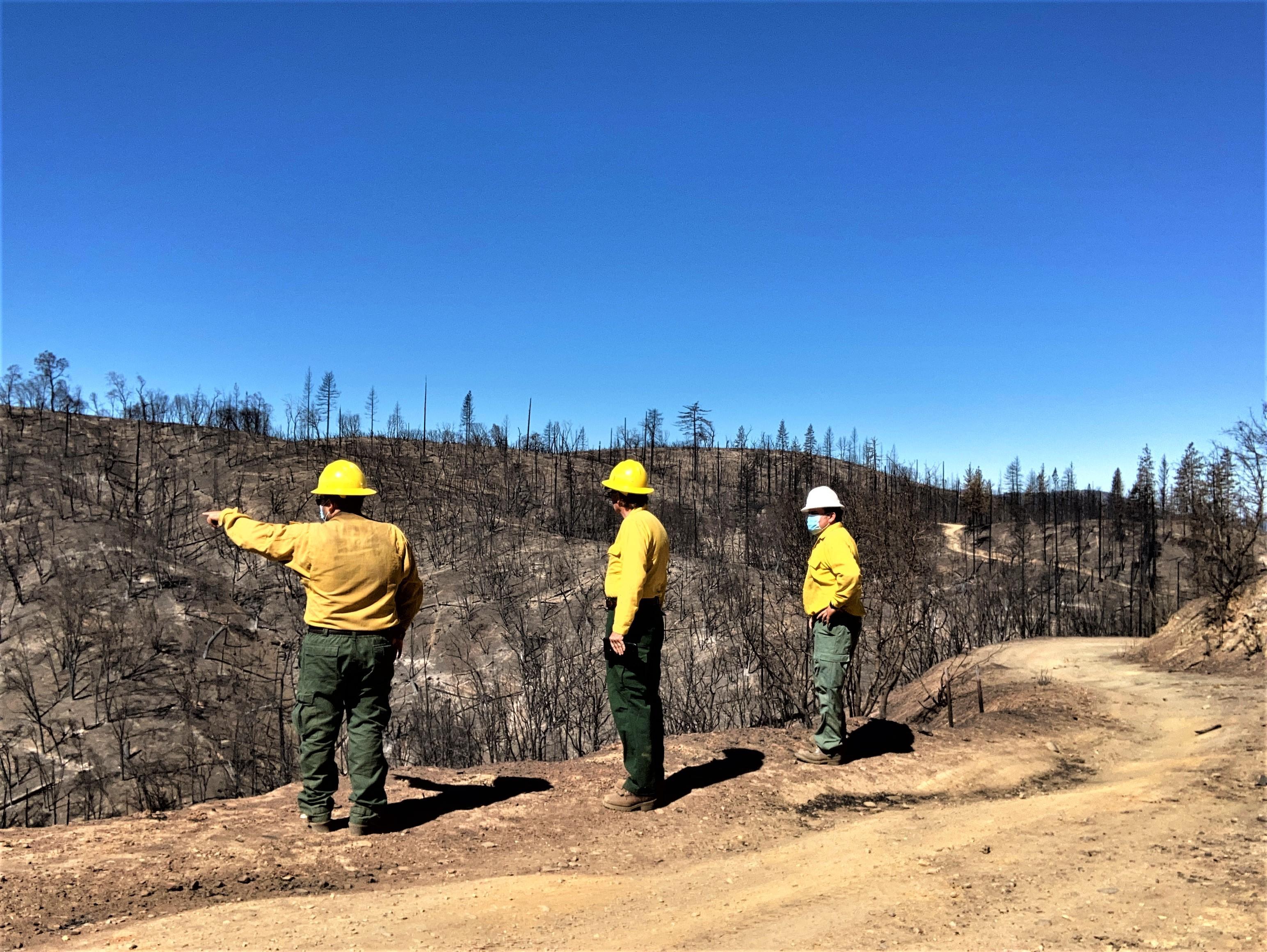 Image showing BAER specialists evaluate soil burn severity conditions along Forest Service roads with the Oak burned area