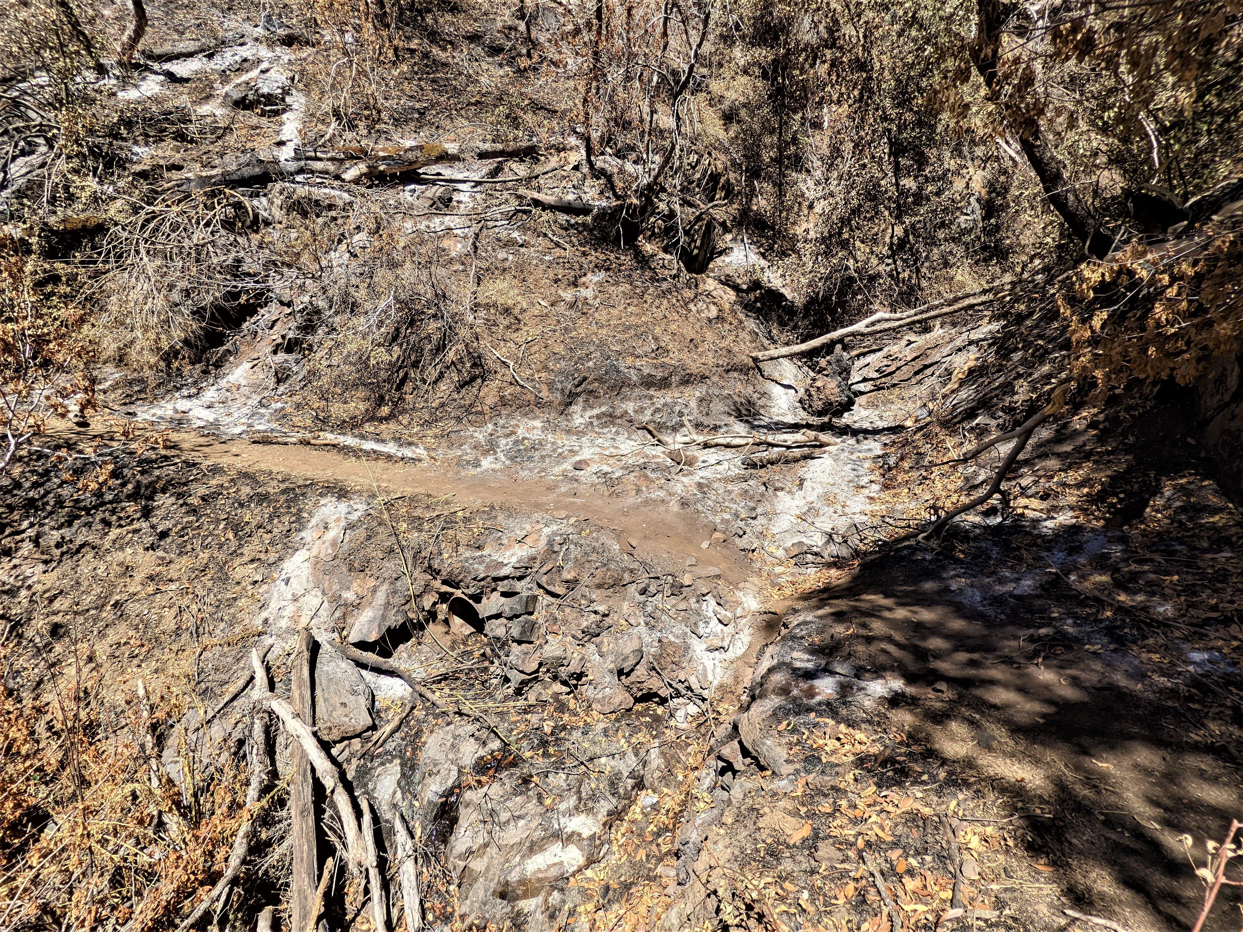 Image showing Rock wall & culvert built on the Skelton Creek hiking trail in Oak burned area