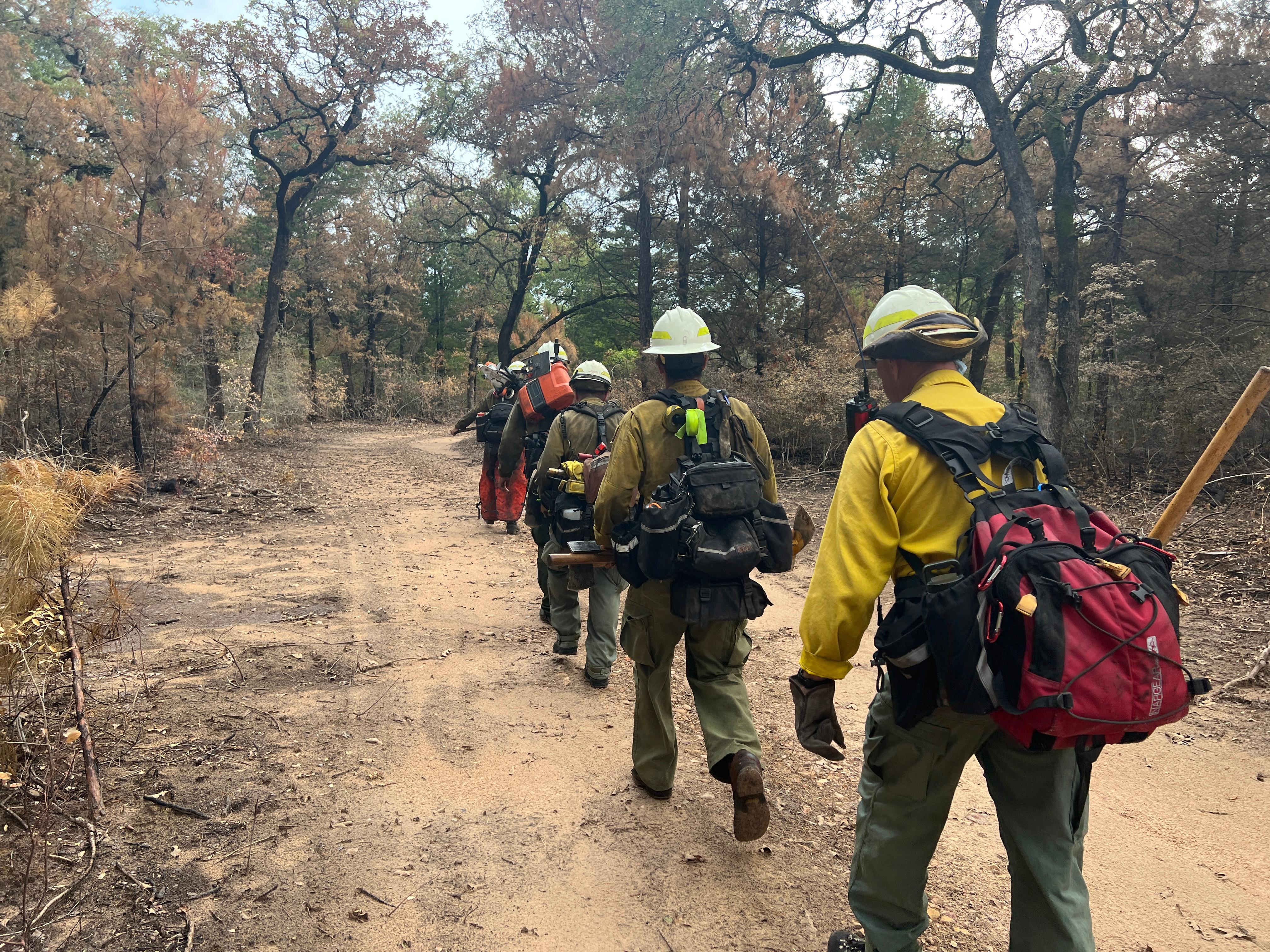 Firefighters walk in a single file line on a dirt path, surrounded by green trees