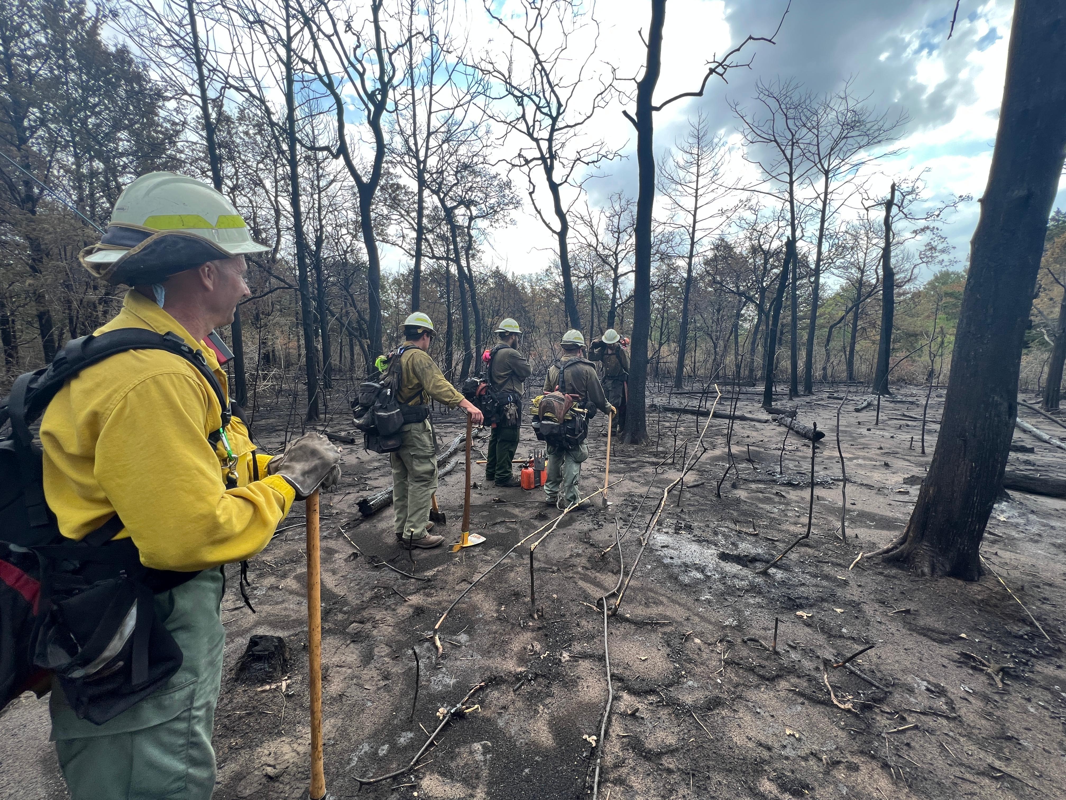 Multiple firefighters stand in an area that experienced  extreme heat. Ground and trees are burned black with cloudy blue sky in background.
