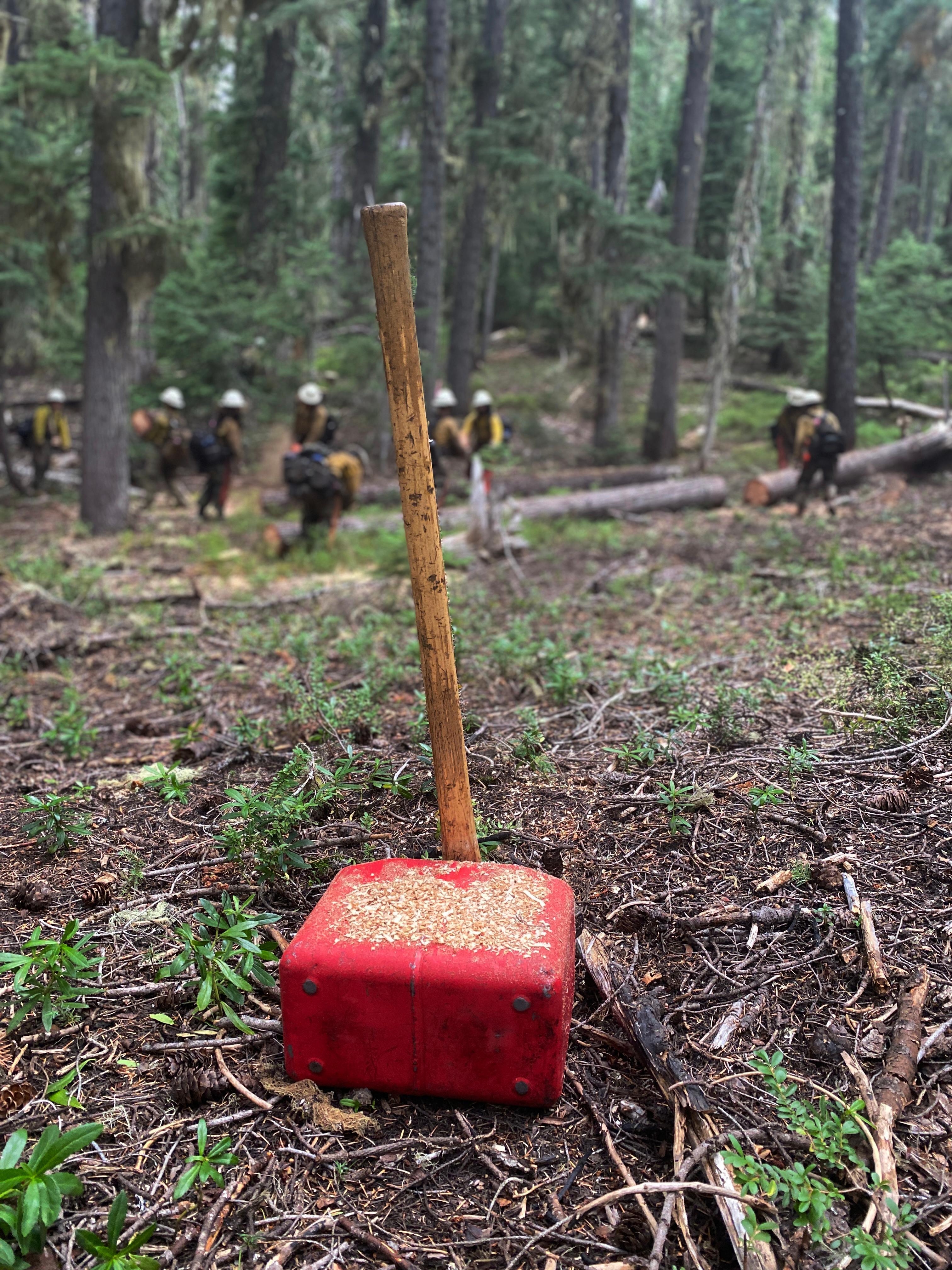 A fuel can with a wooden-handled tool leaning against it, is shown with firefighters working in a forest in the background.