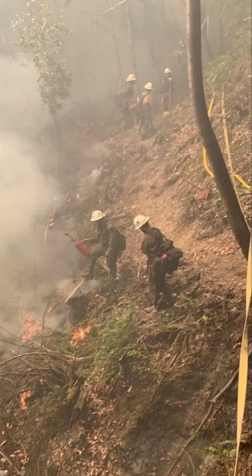 Firefighters working along a handline in steep terrain
