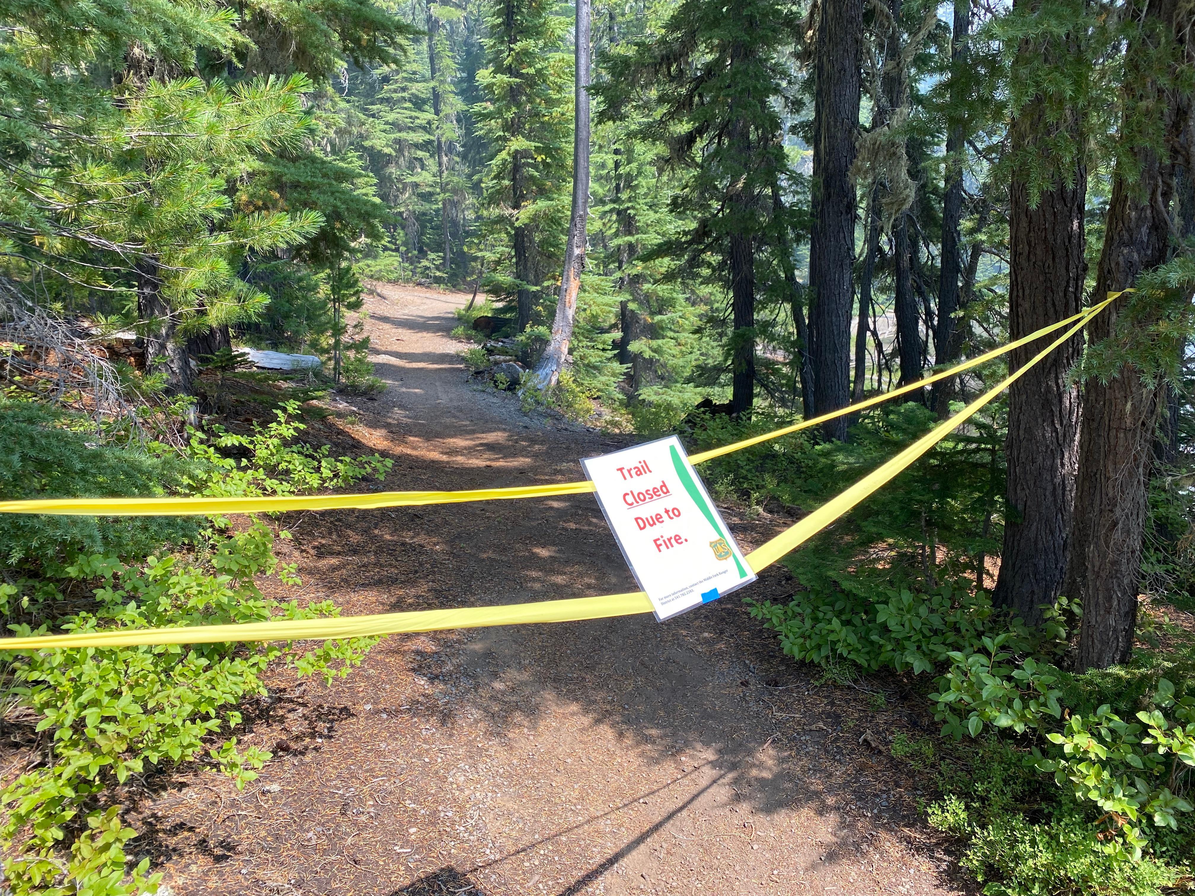 Warning tape is stretched across the entrance to a forest trail to keep it closed to the public.