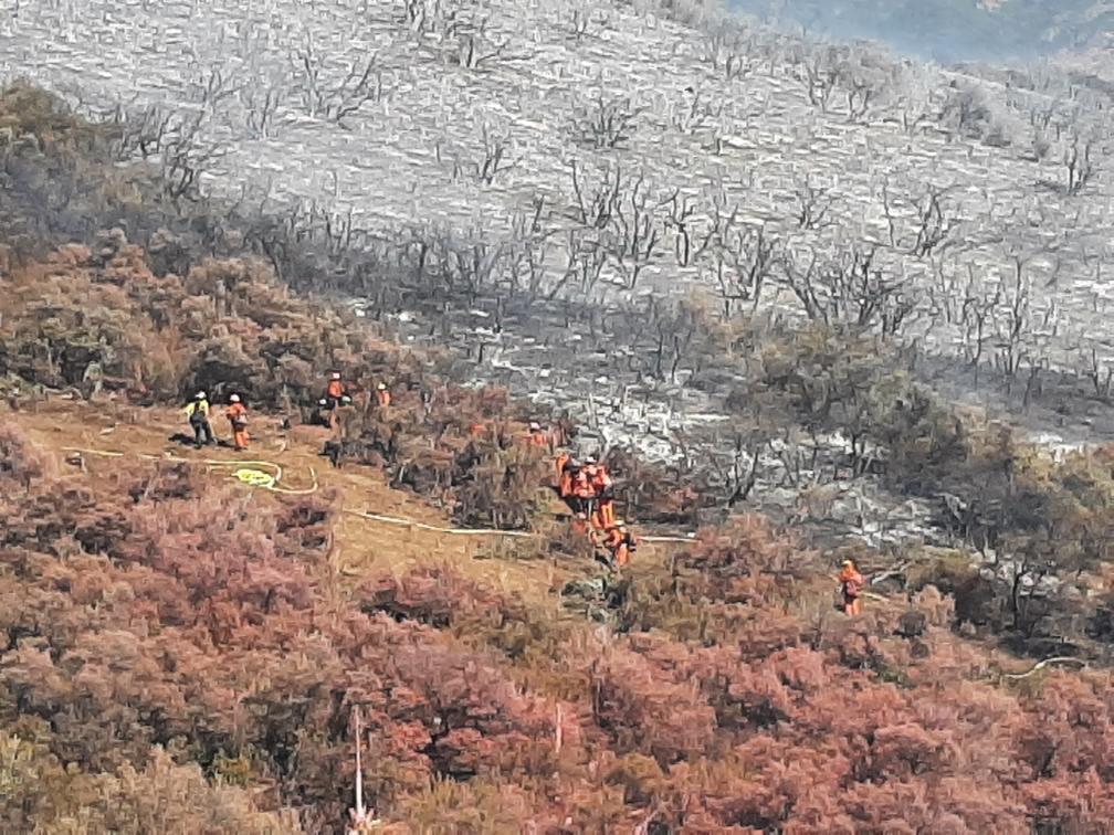 hillside with burnt brush on one side and retardant on brush on the other with fire crews in orange jumpsuits cutting line between the burned and unburned bursh