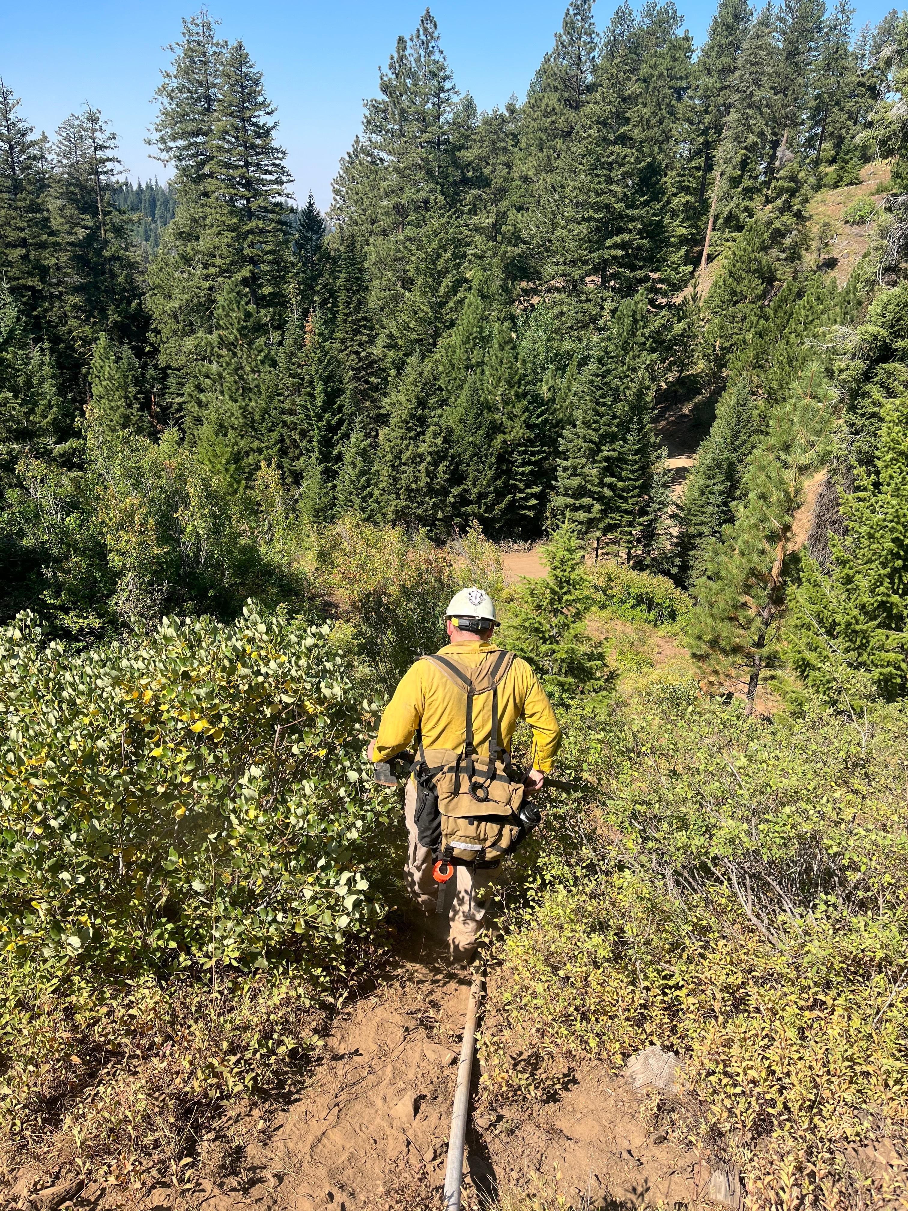 Firefighter walking through the vegetation with a hose laying on the ground. 