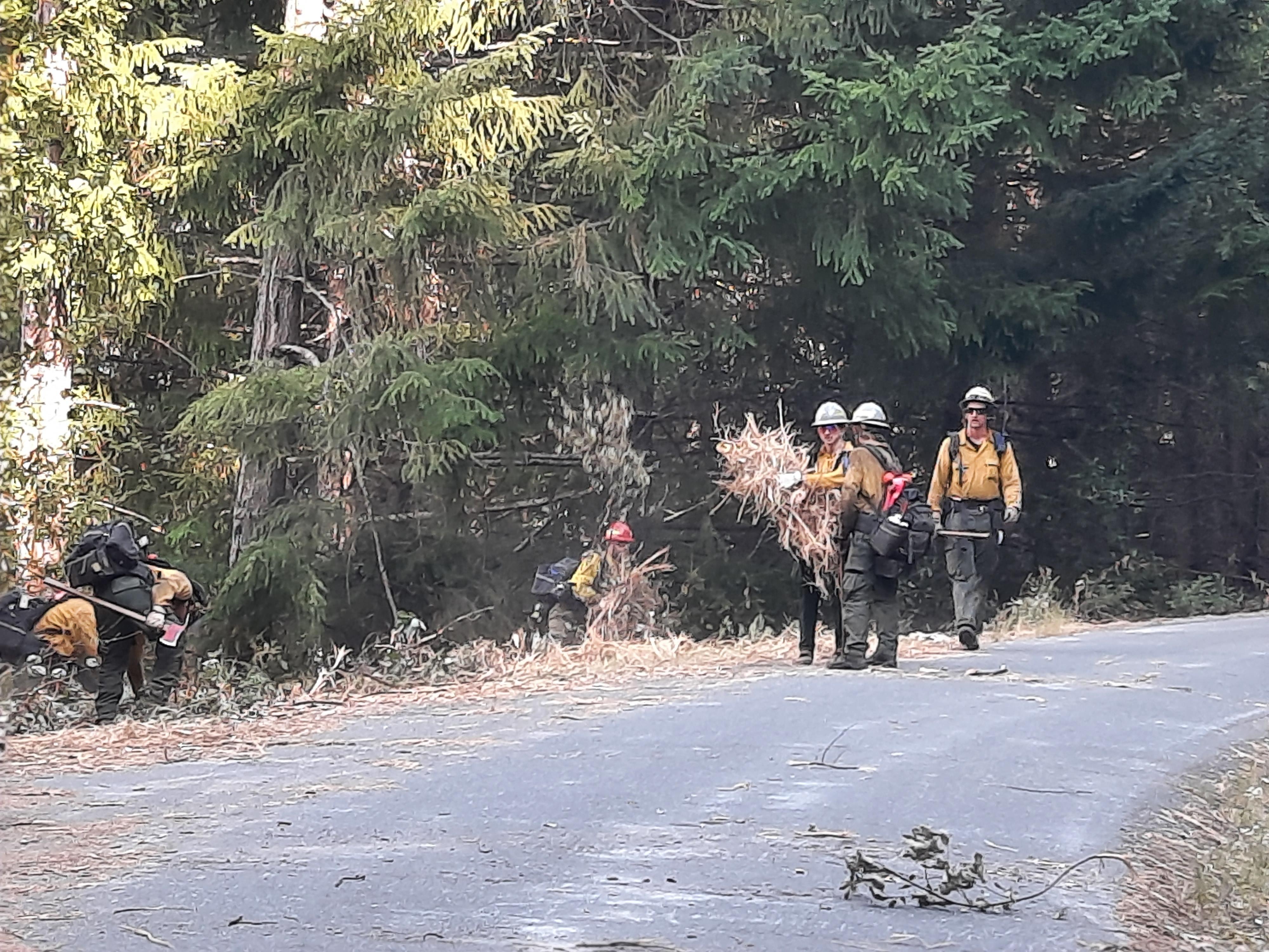 Several individuals in wildfire PPE use hand tools to clear vegetation along a paved road