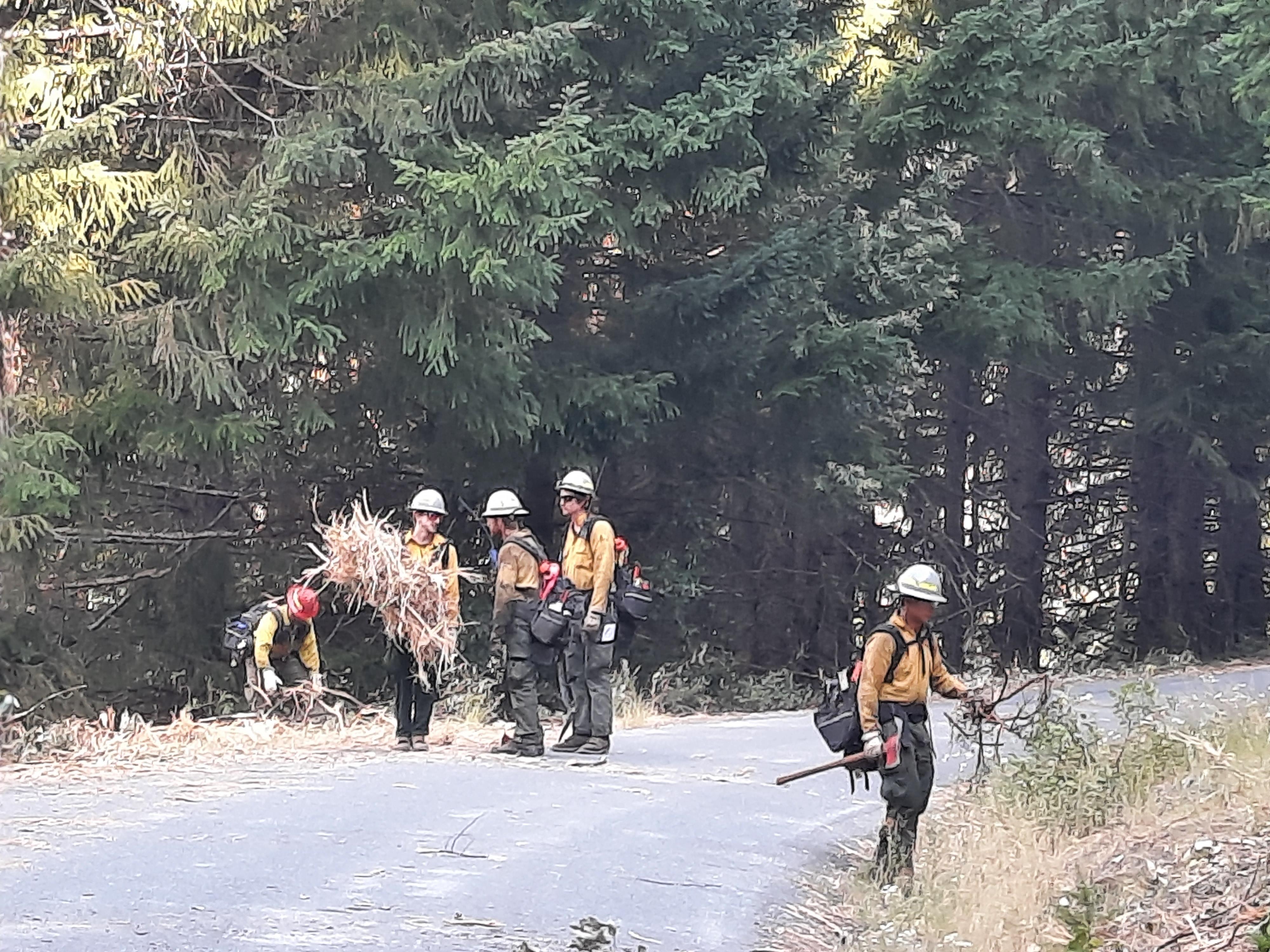 Several individiuals in wildfire gear cut and remove brush along a paved road