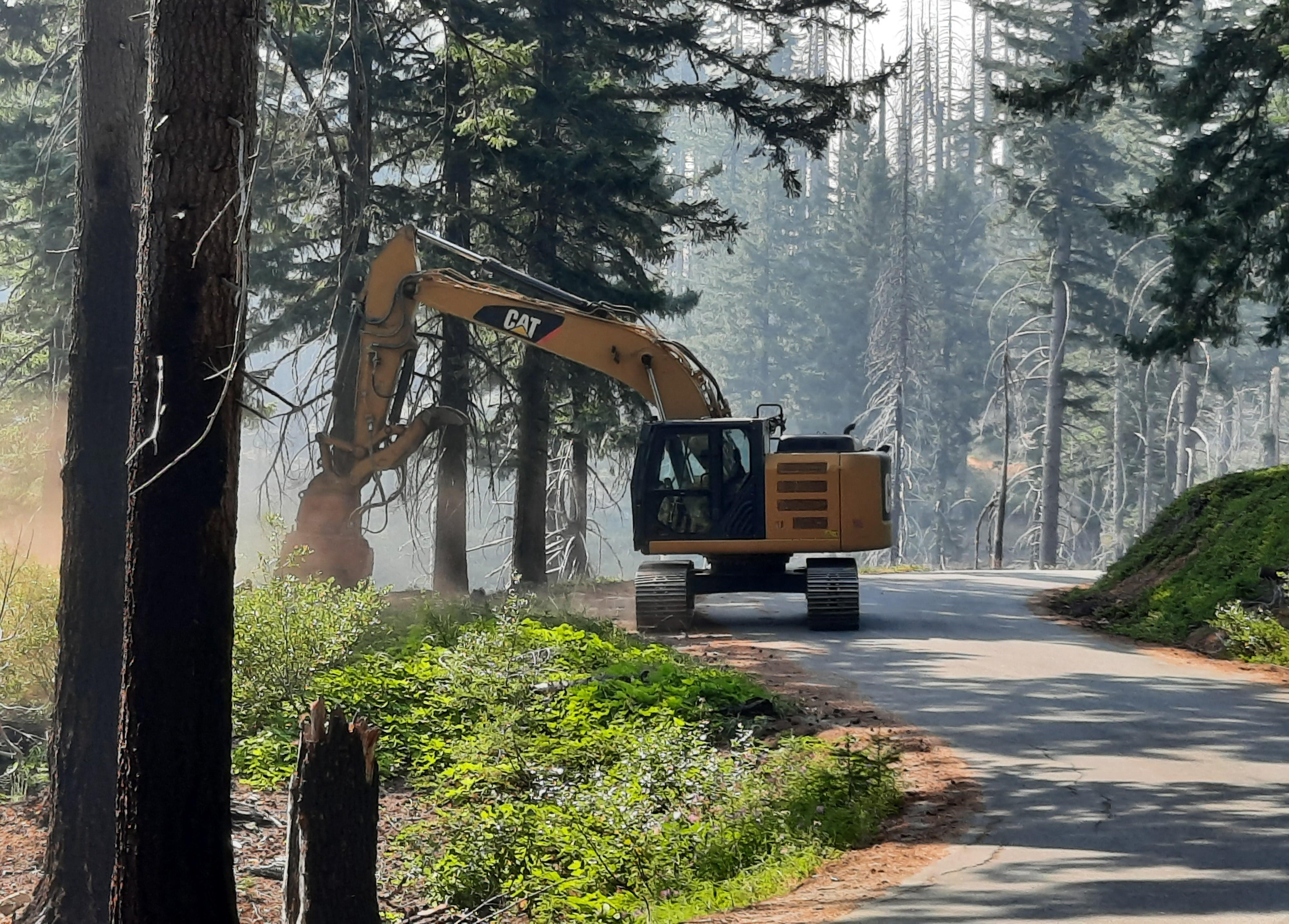 A yellow and black machine with a specialized cutting device tearing through brush along a paved road in the forest