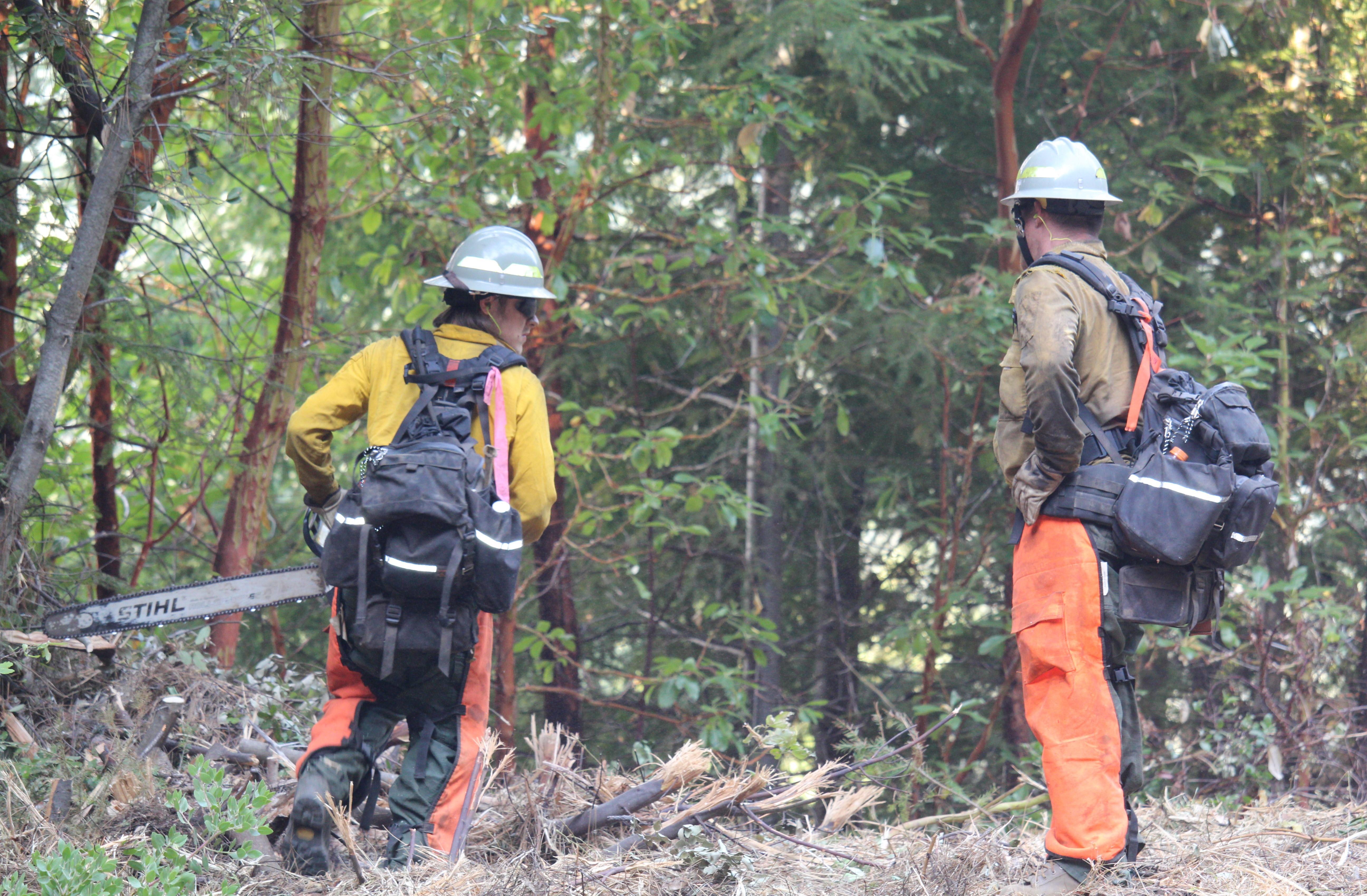 Two firefighters in wildfire gear, wearing orange chainsaw chaps, carrying a chainsaw and tree cutting equipment