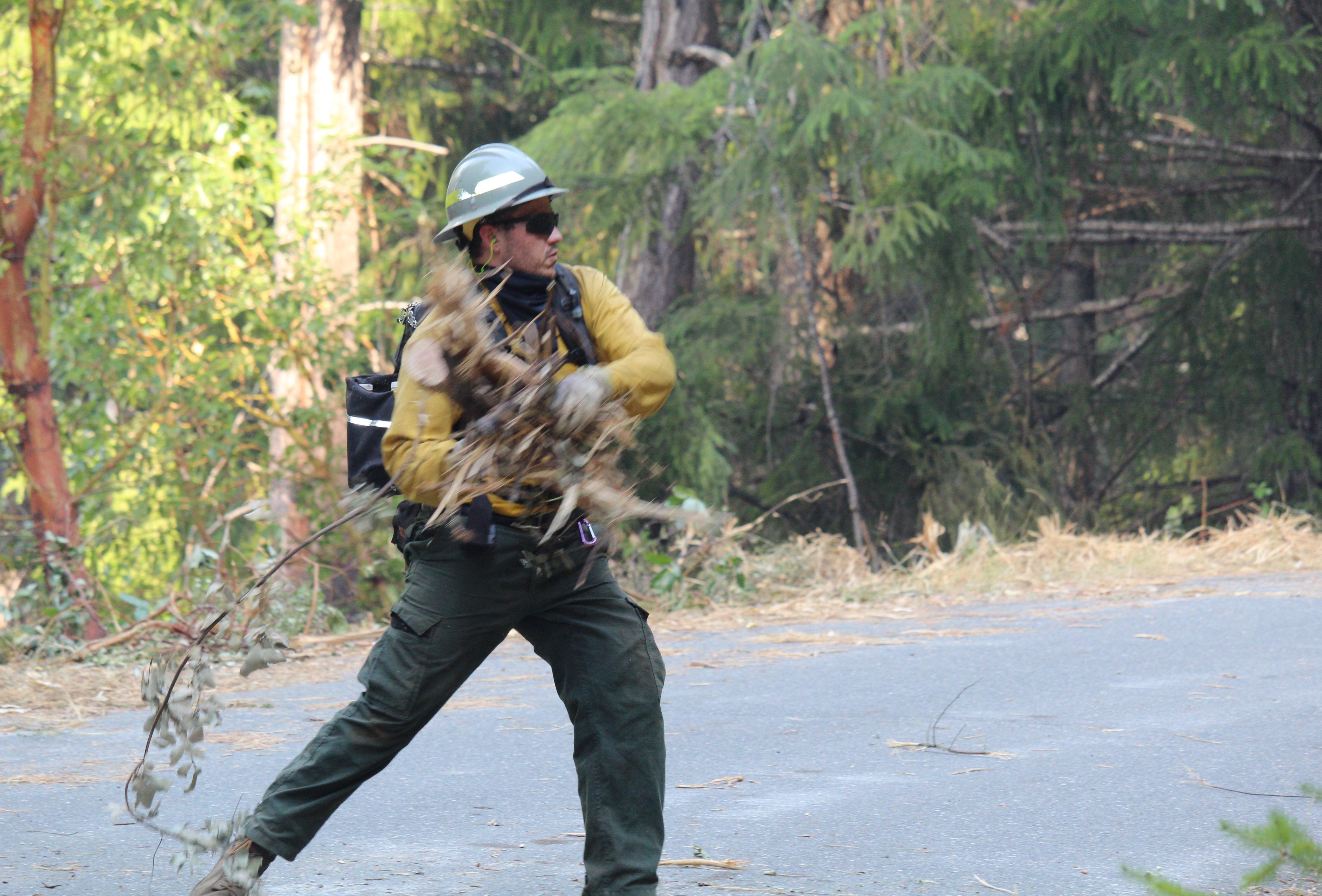 A firefighter wearing a grey helmet and black backpack throws a bundle of sticks and brush