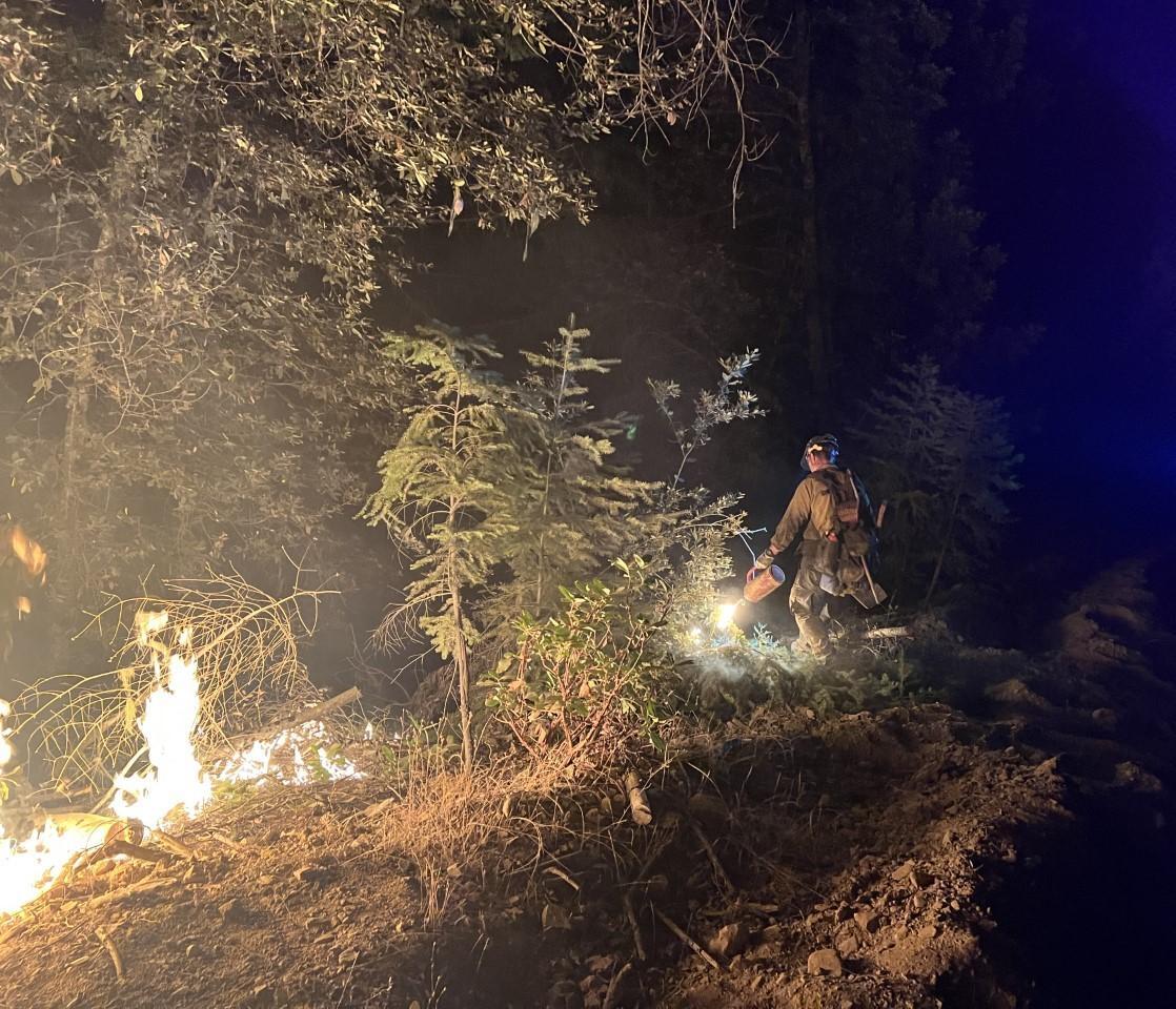 A firefighter in wildfire gear lighting vegetation with a drip torch in a forest at night