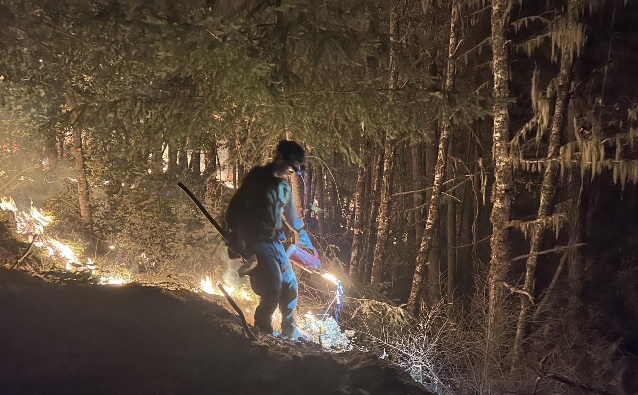 Close-up of a firefighter in wildfire gear igniting vegetation with a drip torch in a line in a forest at night