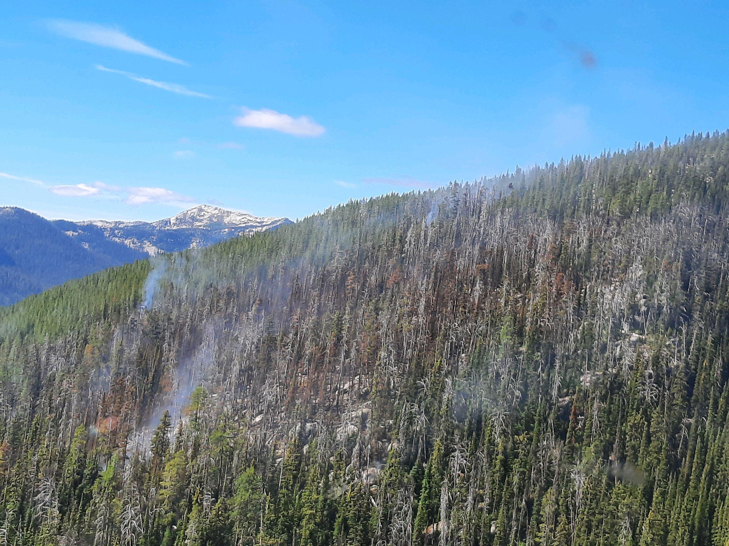 Trout Fire August 28. 2022
