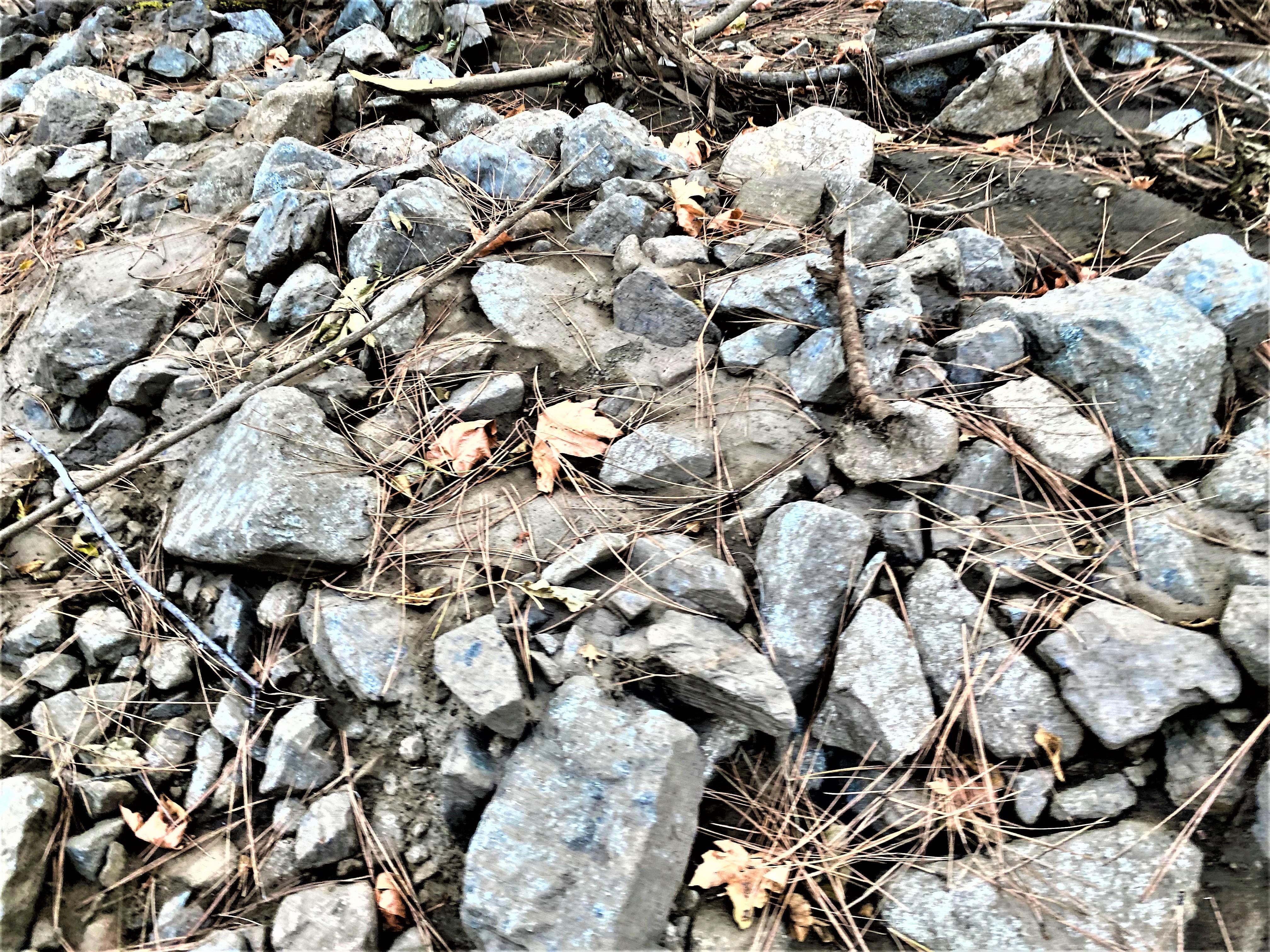 Image showing debris flow material in Little Humbug Creek