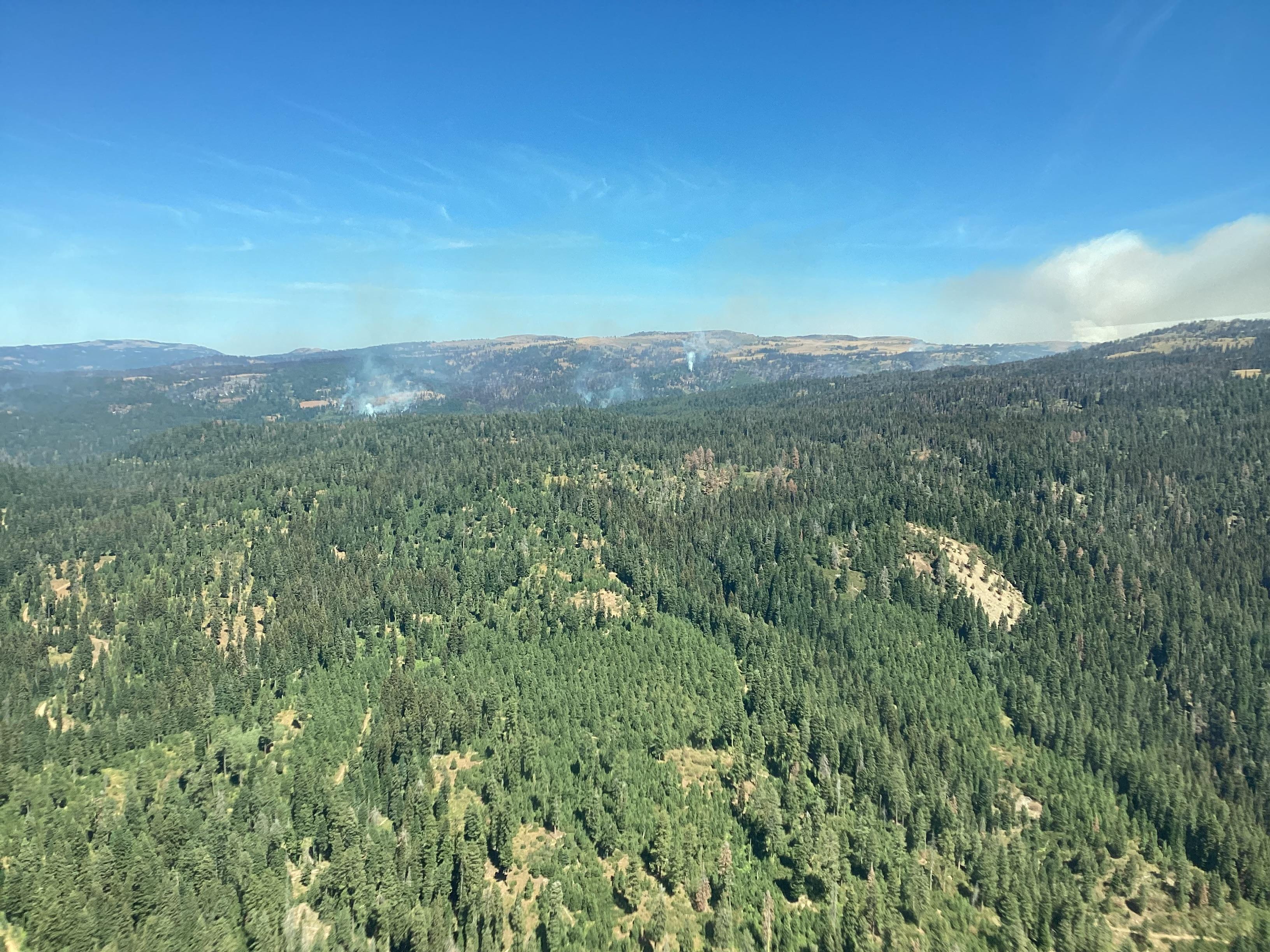 aerial photograph showing dense vegetation with smoke