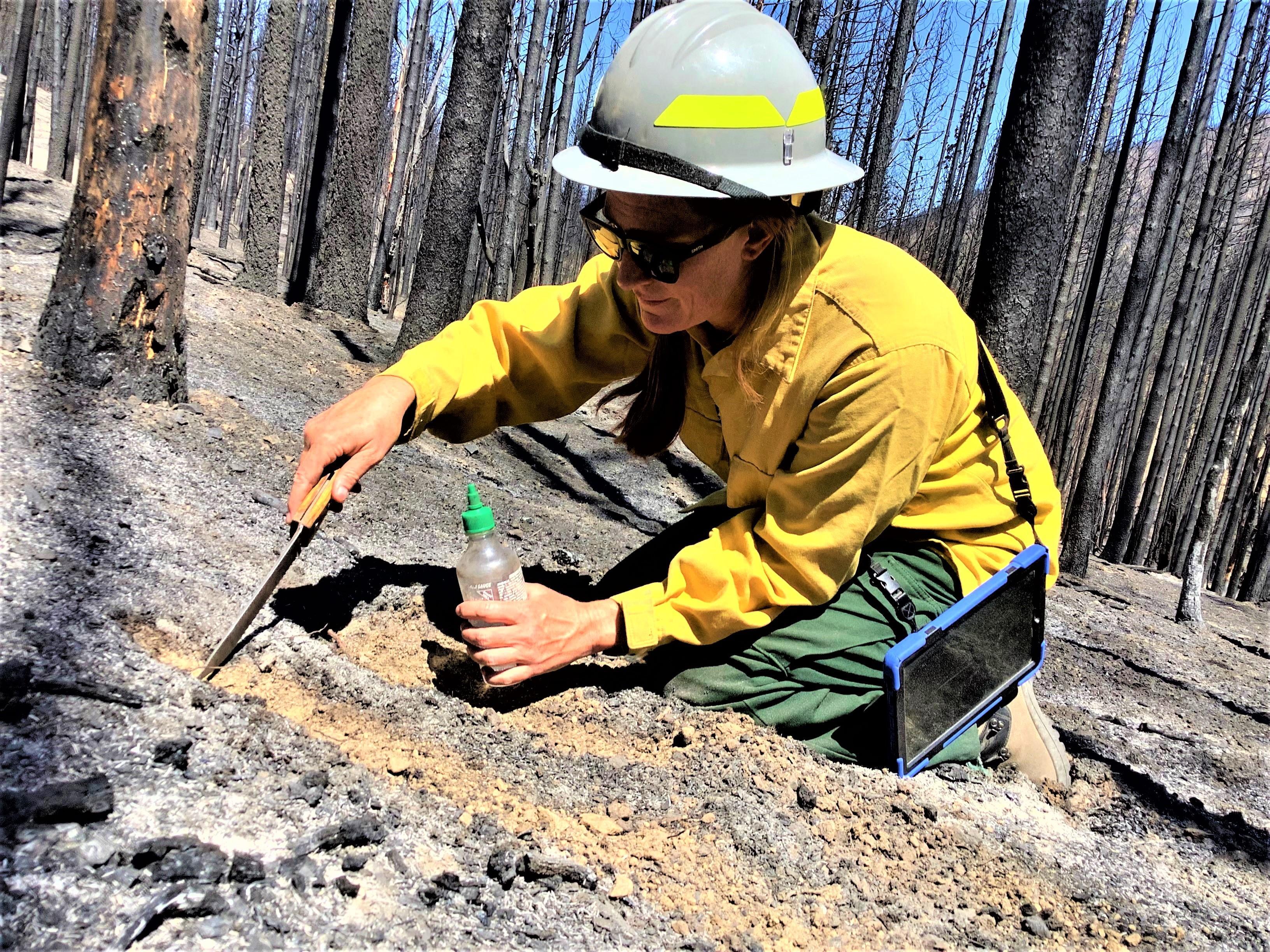 Image showing BAER Scientist Assess Soil Burn Severity