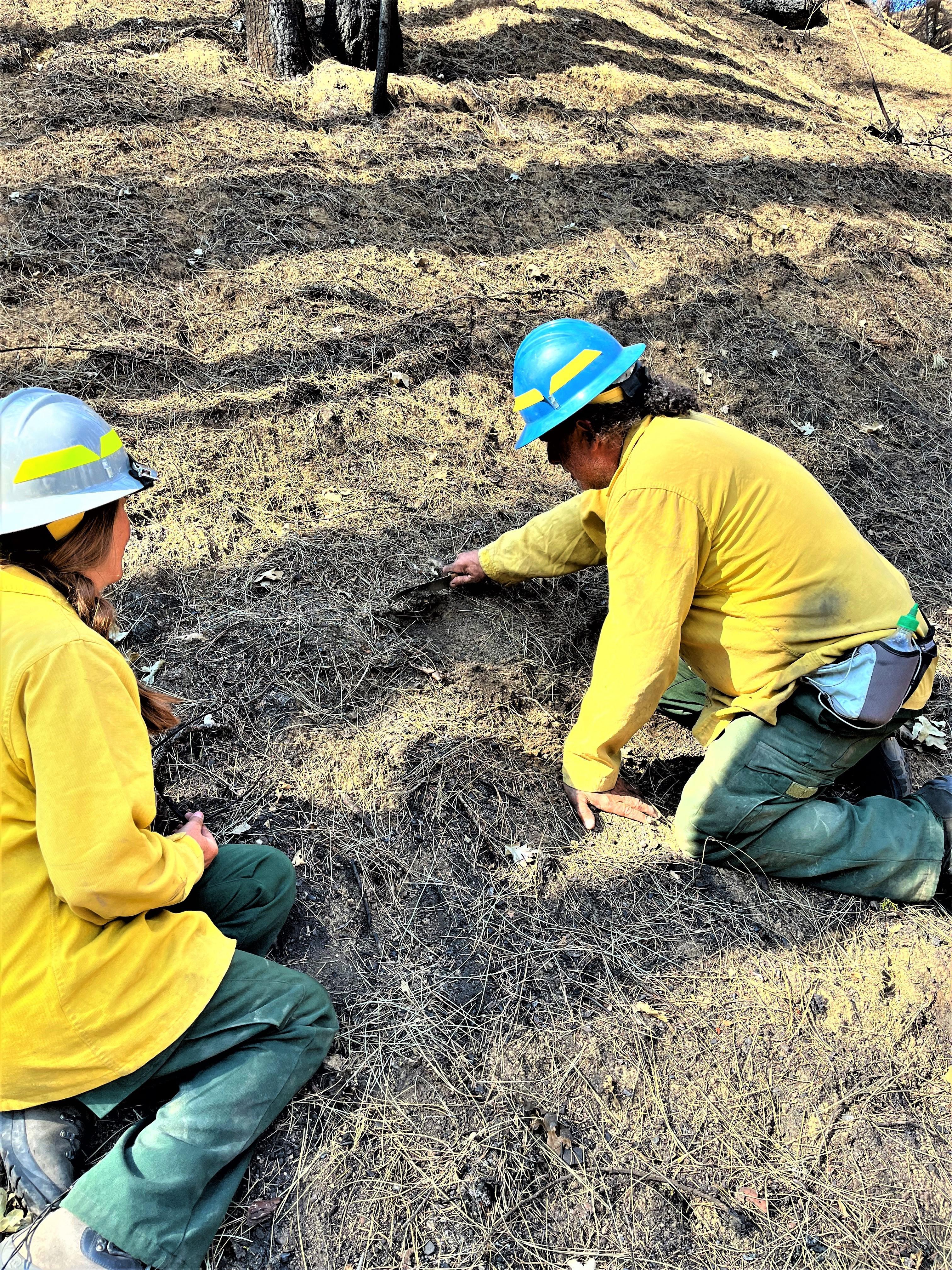 Image showing BAER Scientist Assess Soil Burn Severity
