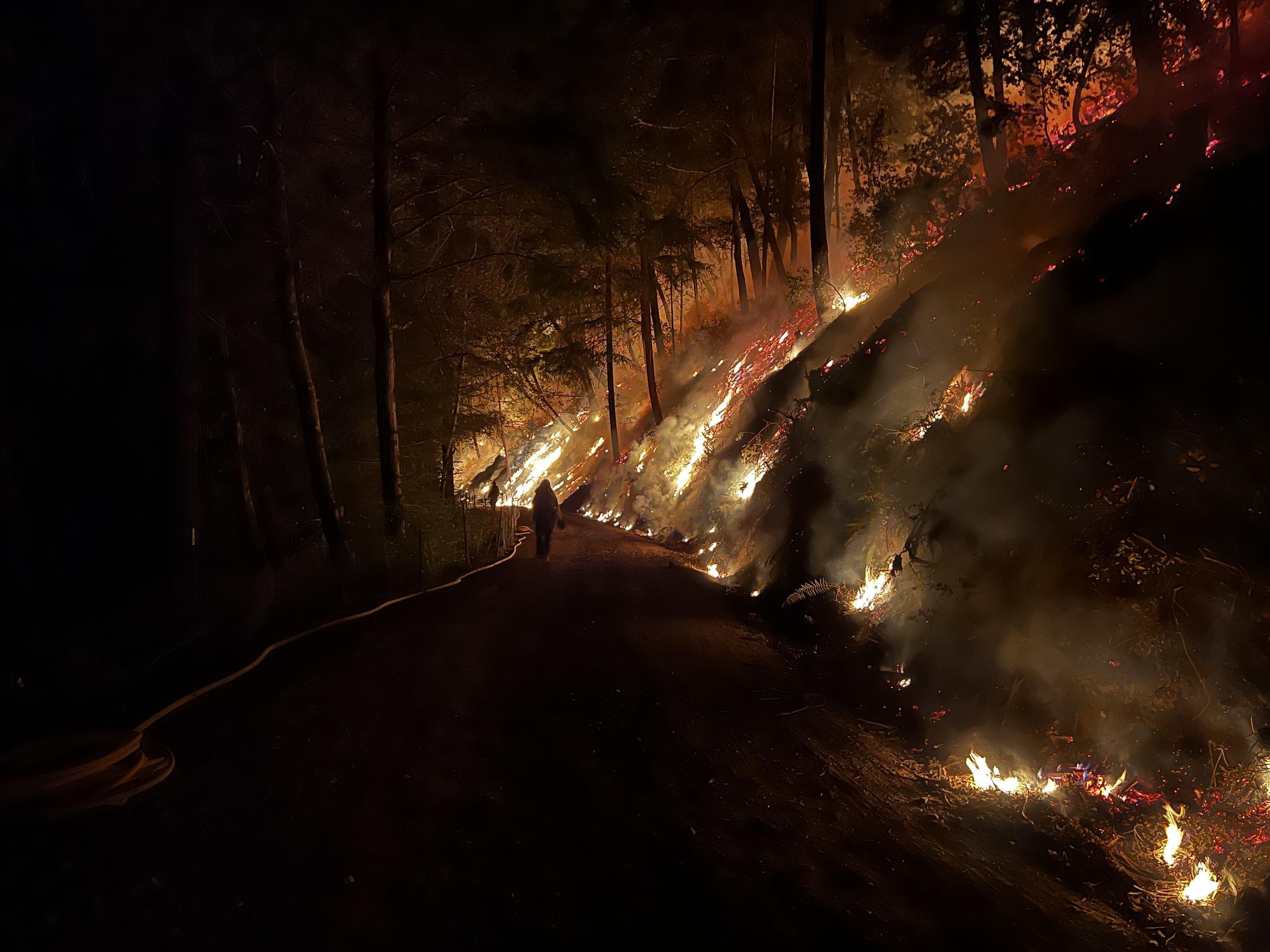 Steep hillside alongside road with wildland firefighter standing using drip torches. Fire throughout the hillside.
