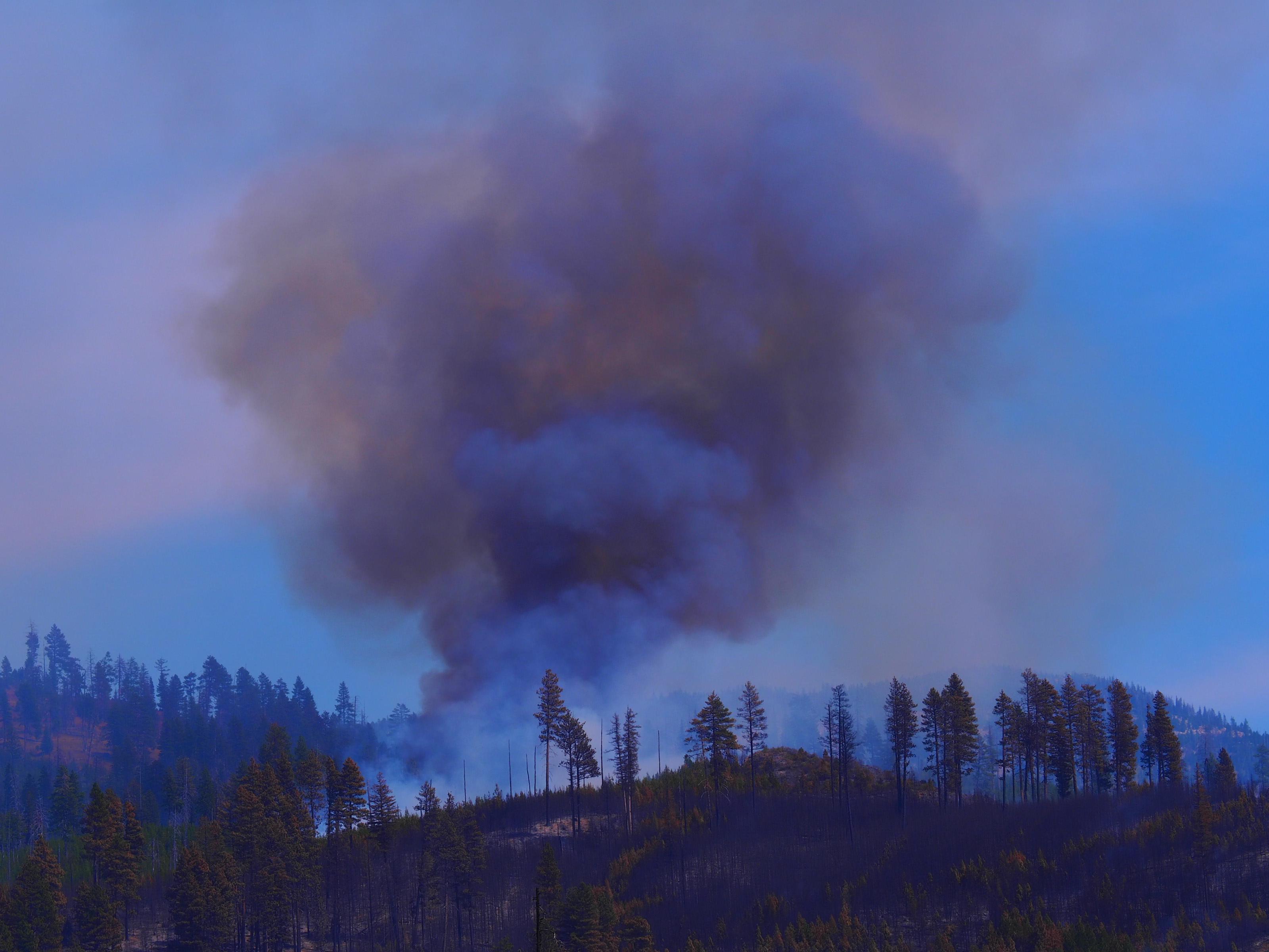 Smoke plume on the Crockets Knob fire