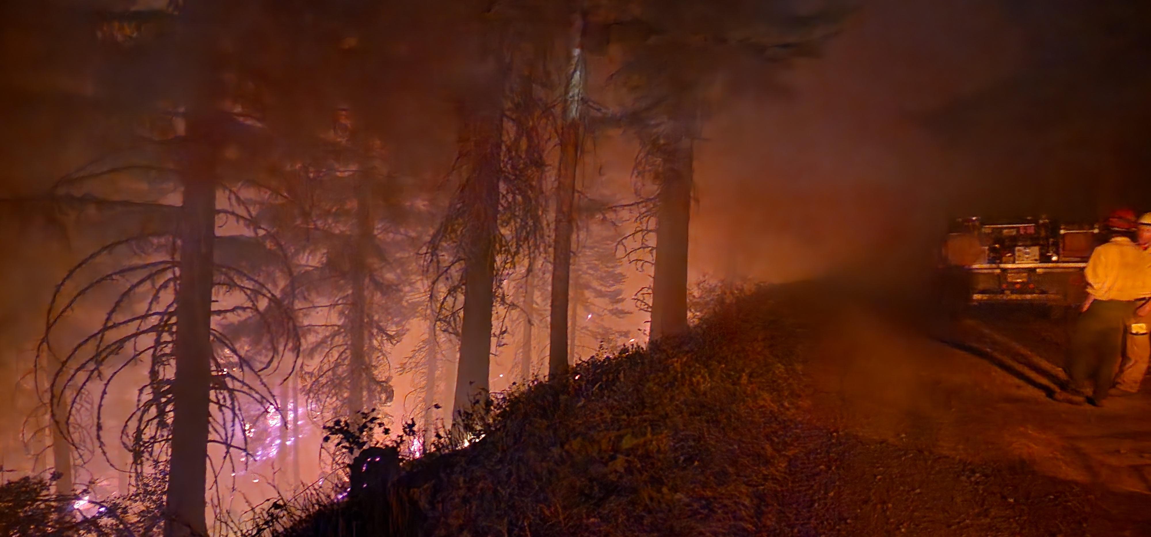 Unburned trees stand on a steep slope with fire burning on and near the ground around them. Firefighters stand by a fire truck on a road above the slope, monitoring the fire.