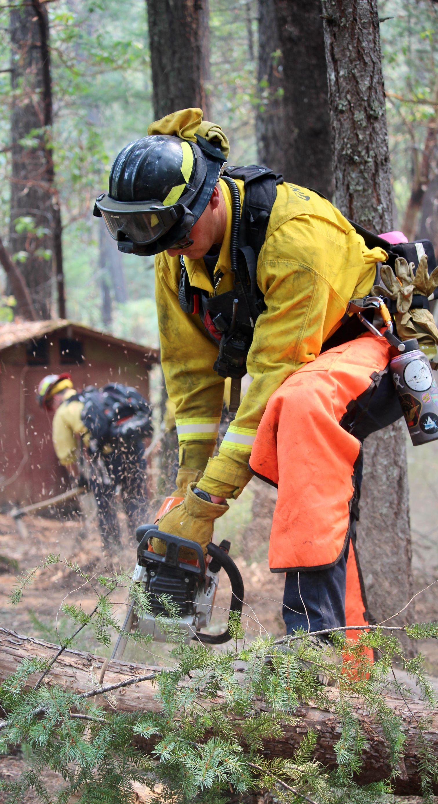 A firefighter with a chainsaw is cutting a small log lying on the ground into chunks. Another firefighter in the background is using a hoe-like tool to scrape fuels off the surface of the ground. This is part of building a fire line behind structures.
