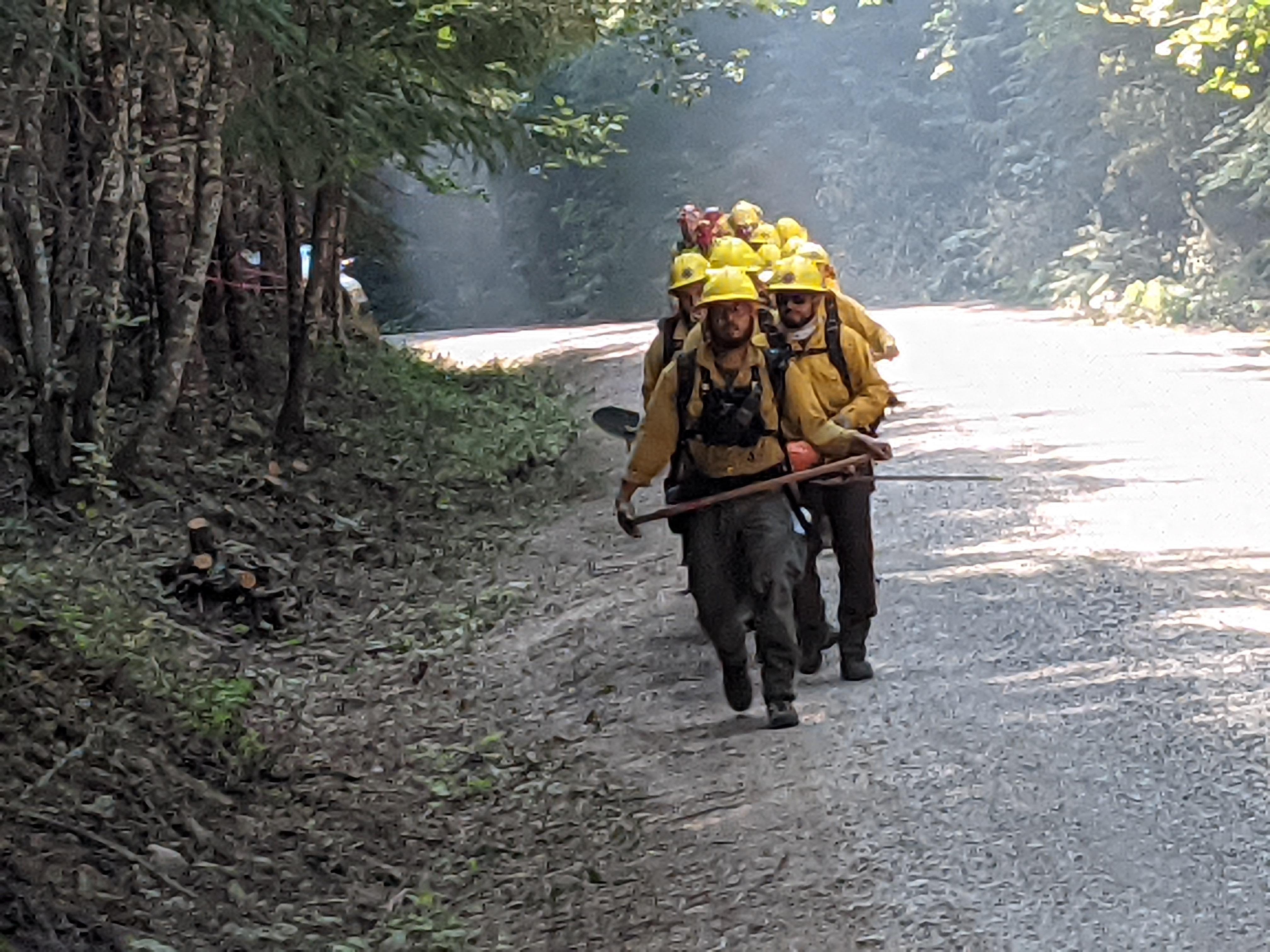 Photo of wildland firefighters walking in a single file line  along a dirt road.